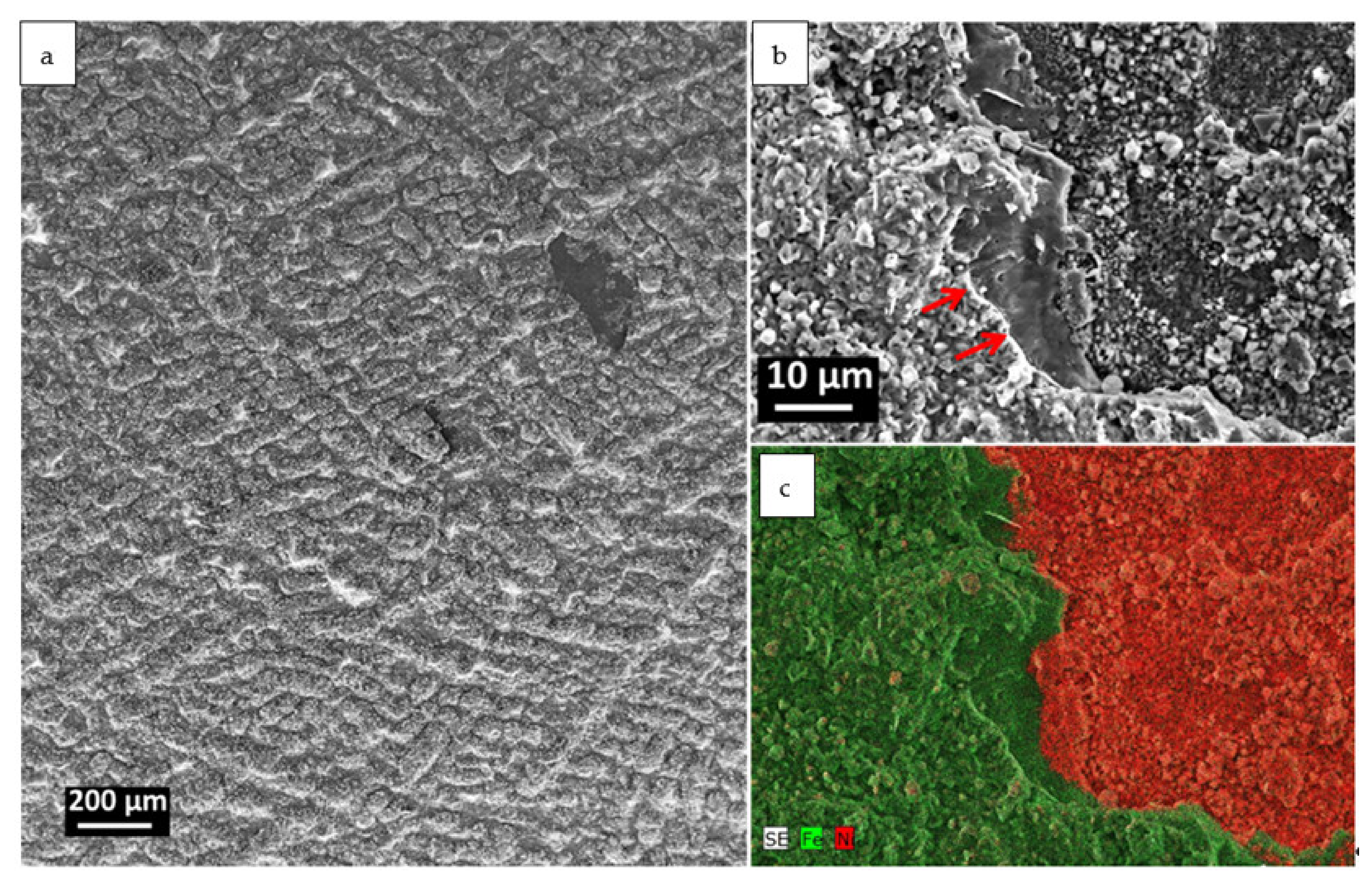 Materials 14 01453 g002 Materials 14 01453 g002