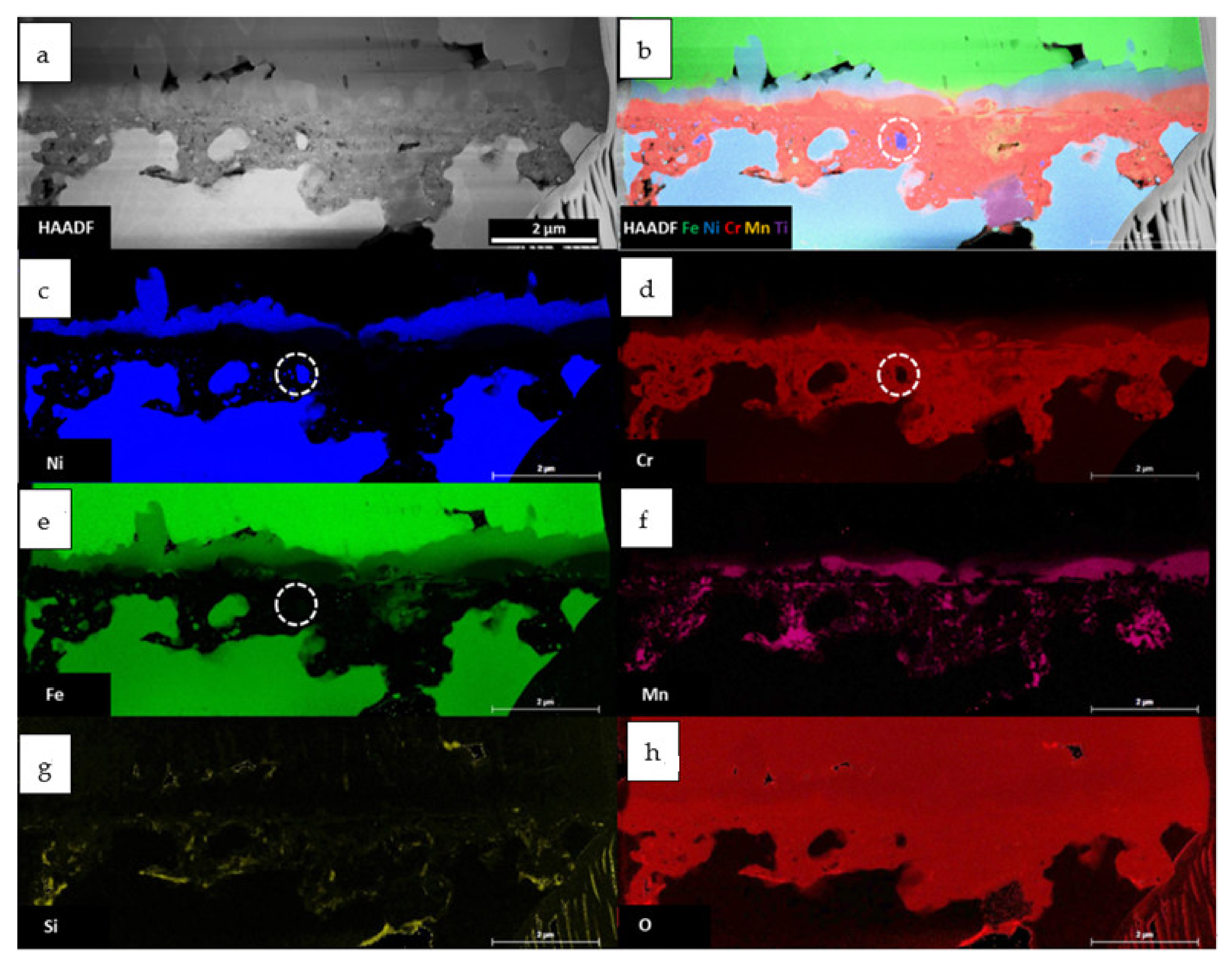 Materials 14 01453 g006 Materials 14 01453 g006