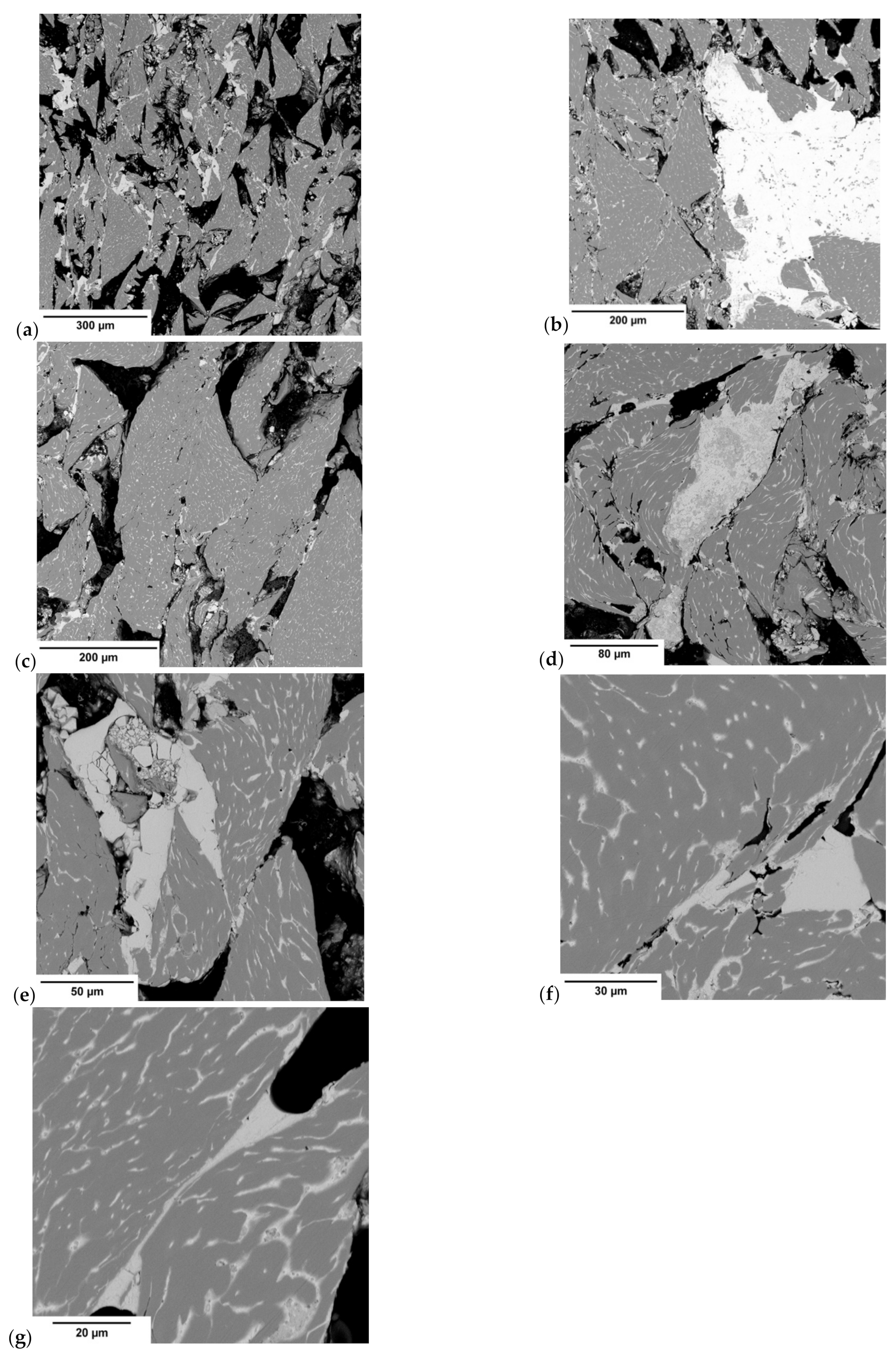 Materials 14 01455 g012