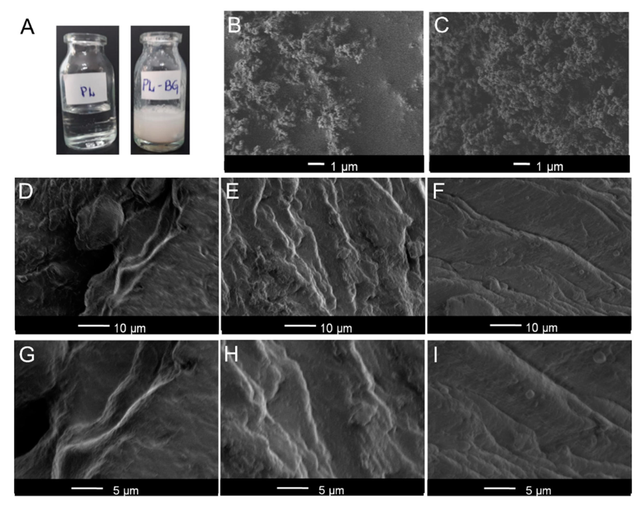 Materials 14 01459 g001