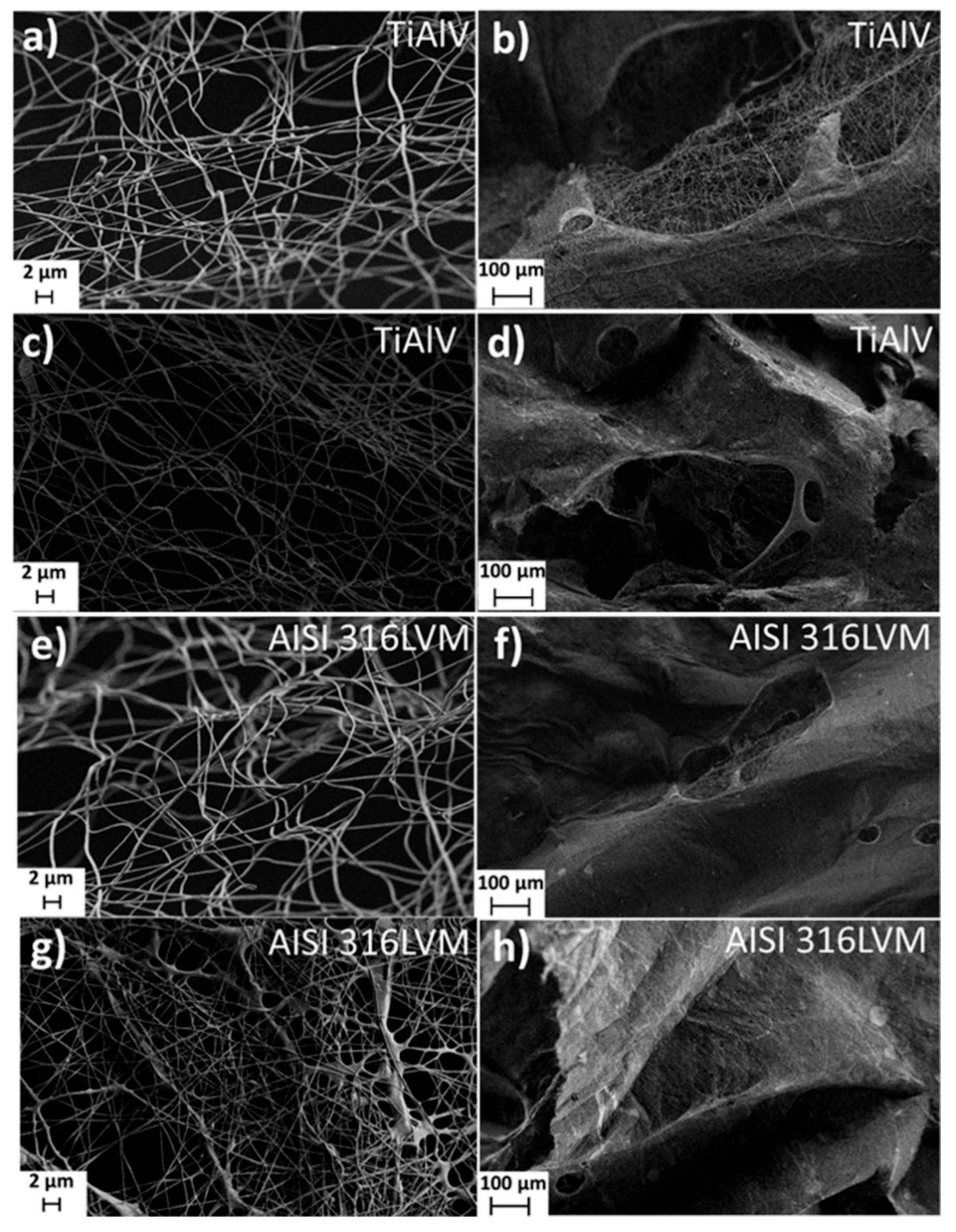Materials 14 01464 g002 Materials 14 01464 g002