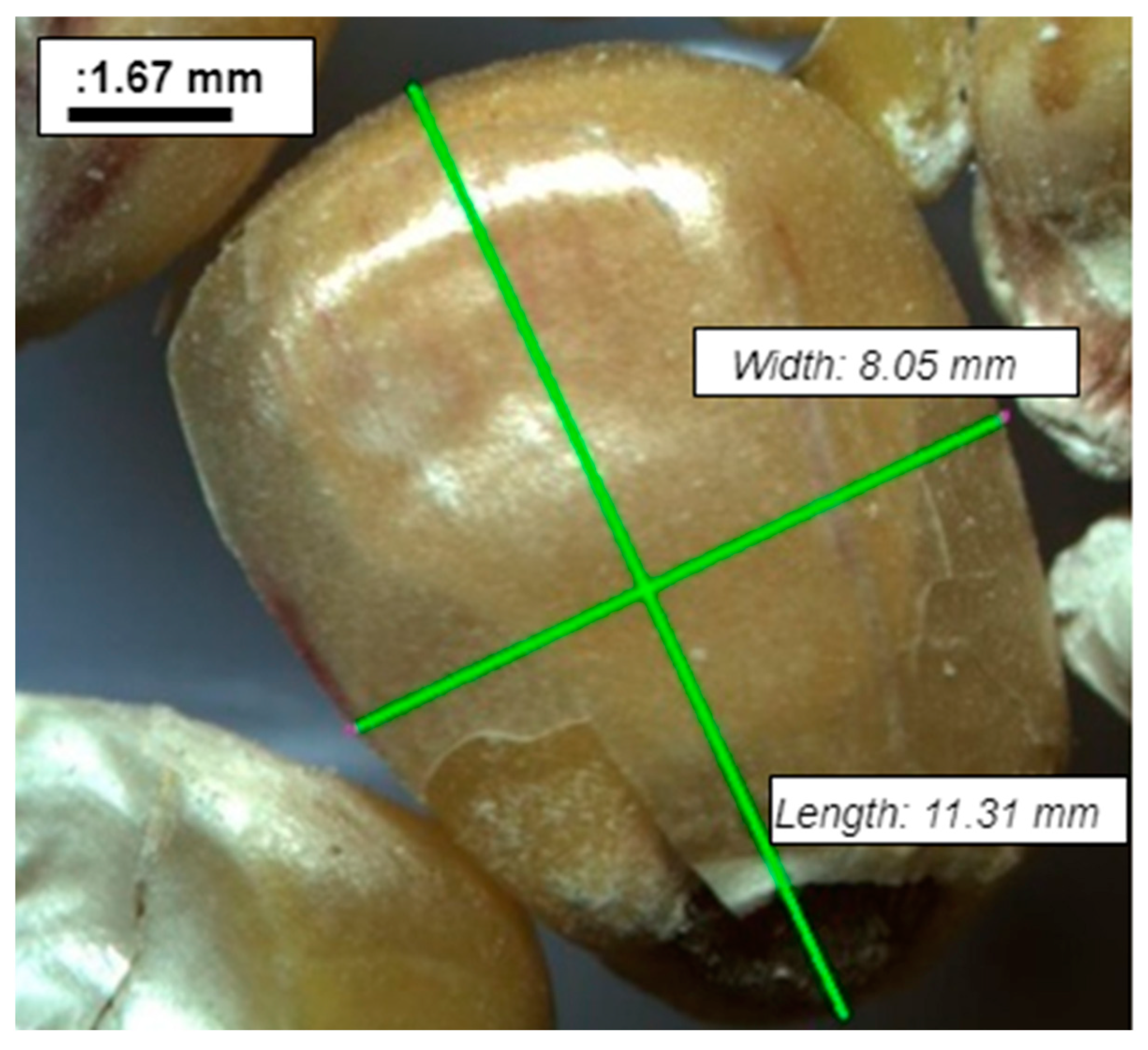 Materials 14 01467 g0a1 Materials 14 01467 g0a1