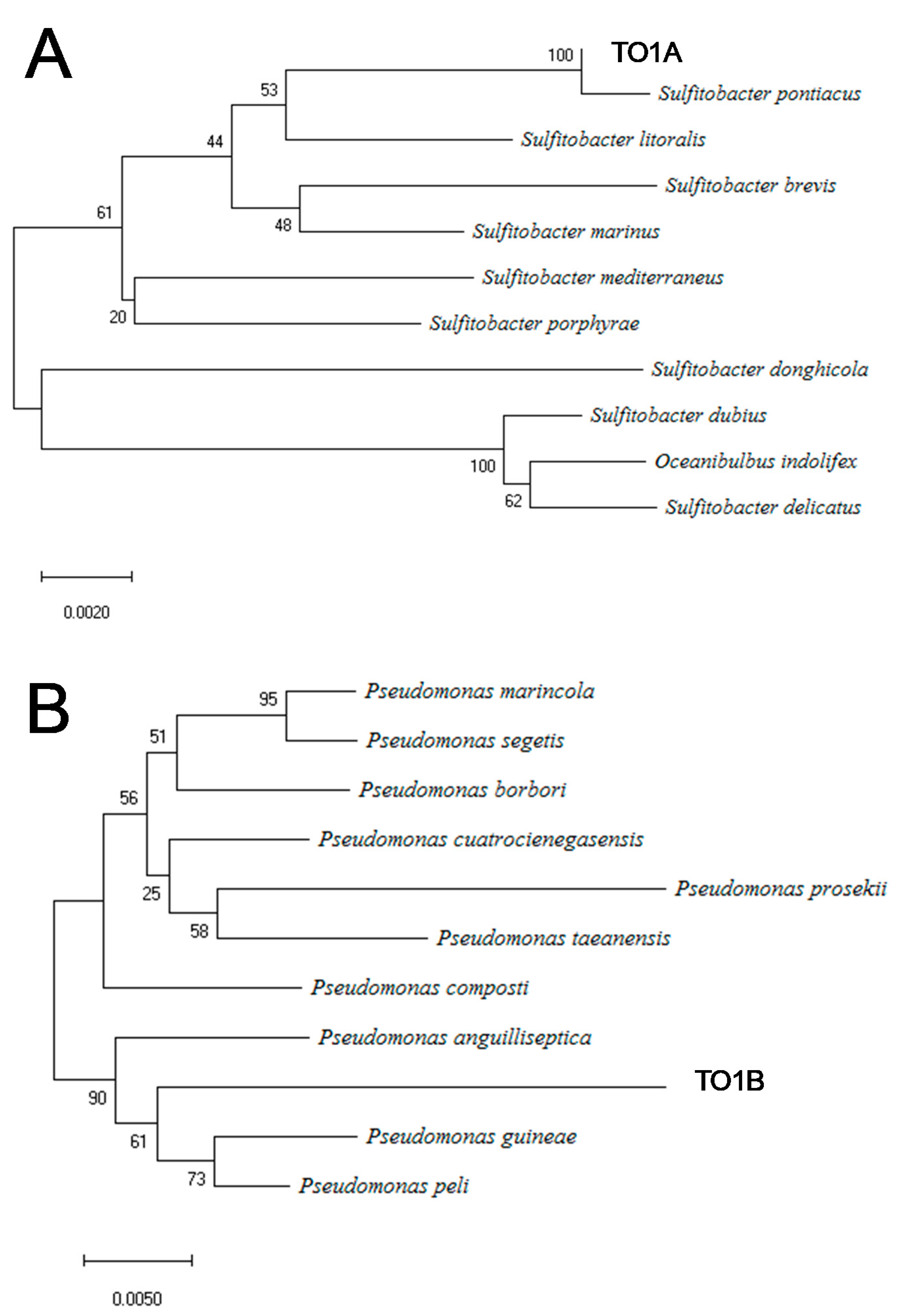 Materials 14 01477 g003 Materials 14 01477 g003
