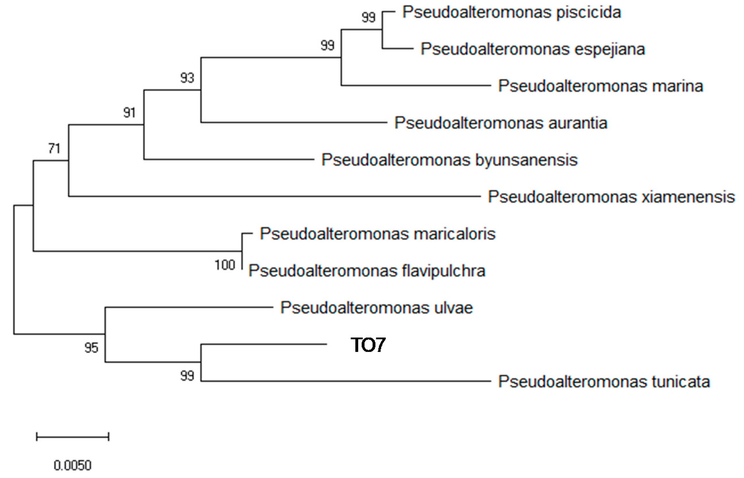 Materials 14 01477 g008 Materials 14 01477 g008
