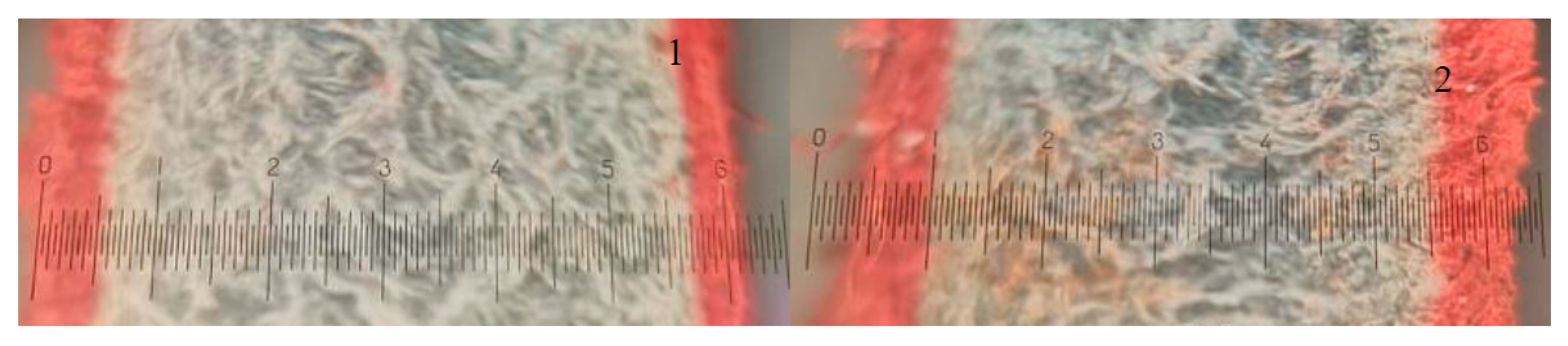 Materials 14 01480 g004