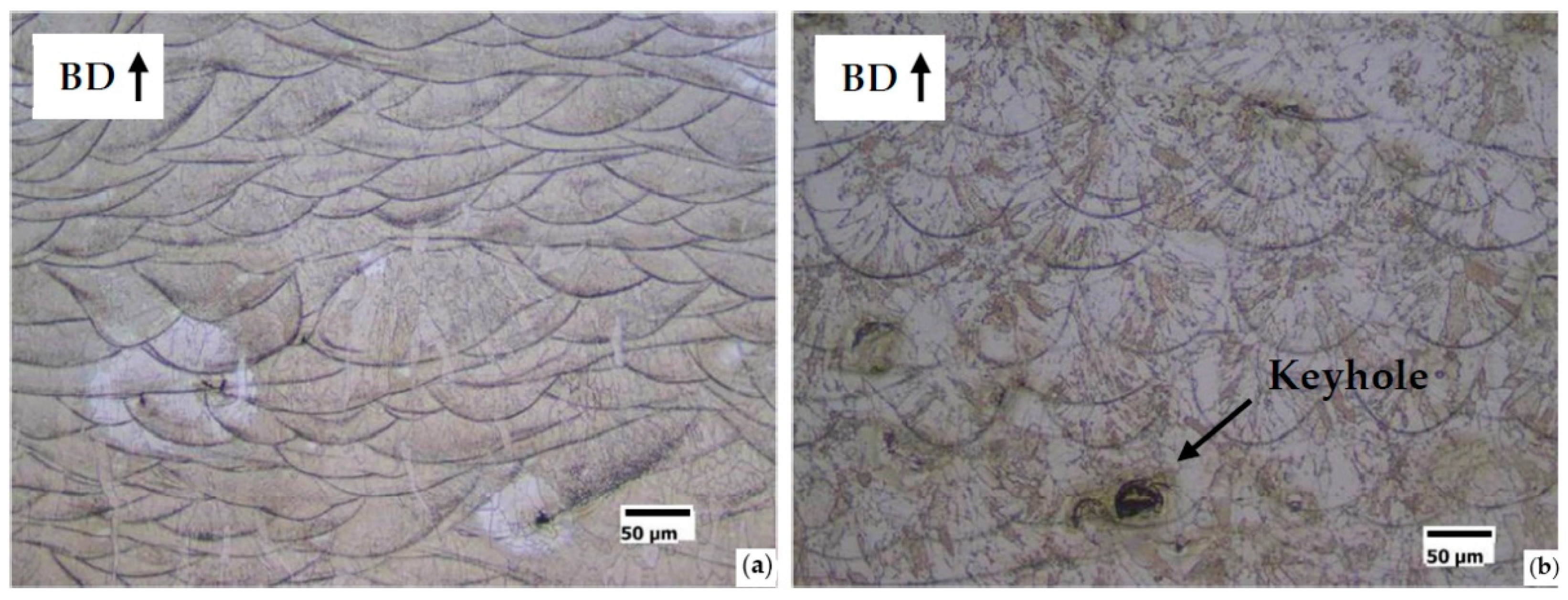 Materials 14 01489 g008