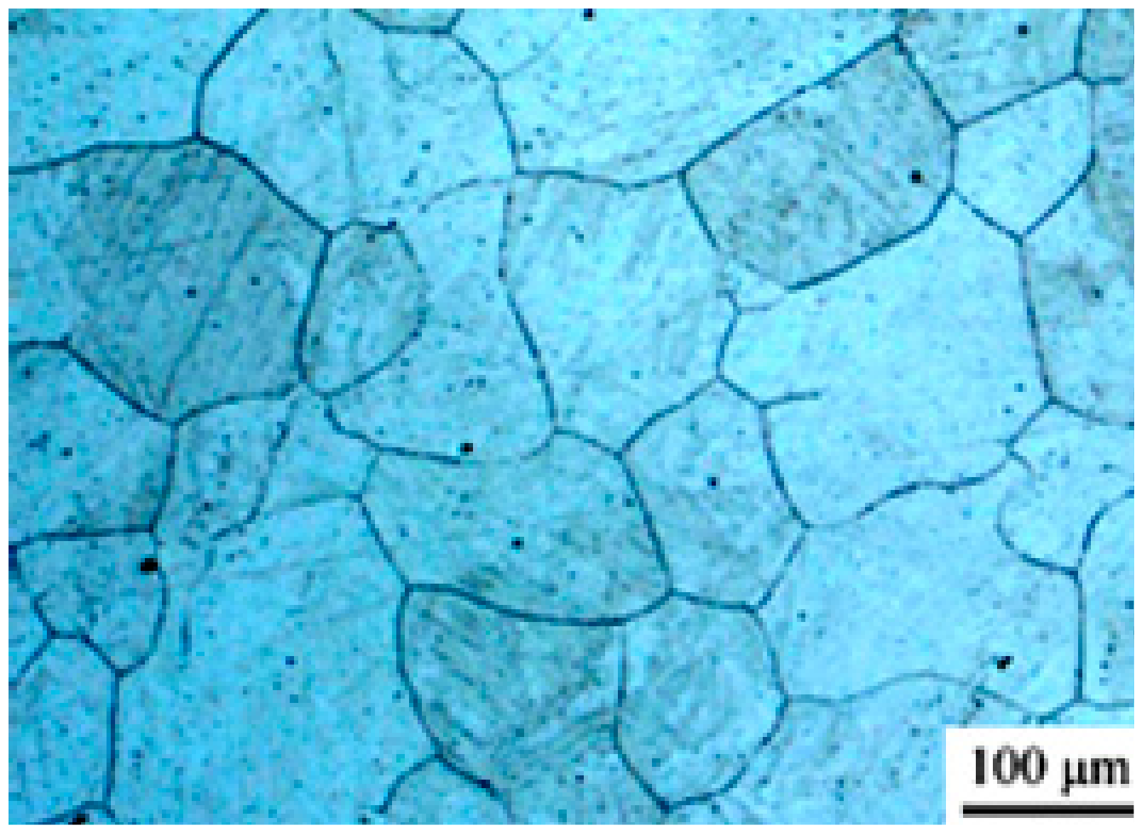 Materials 14 01500 g005 Materials 14 01500 g005