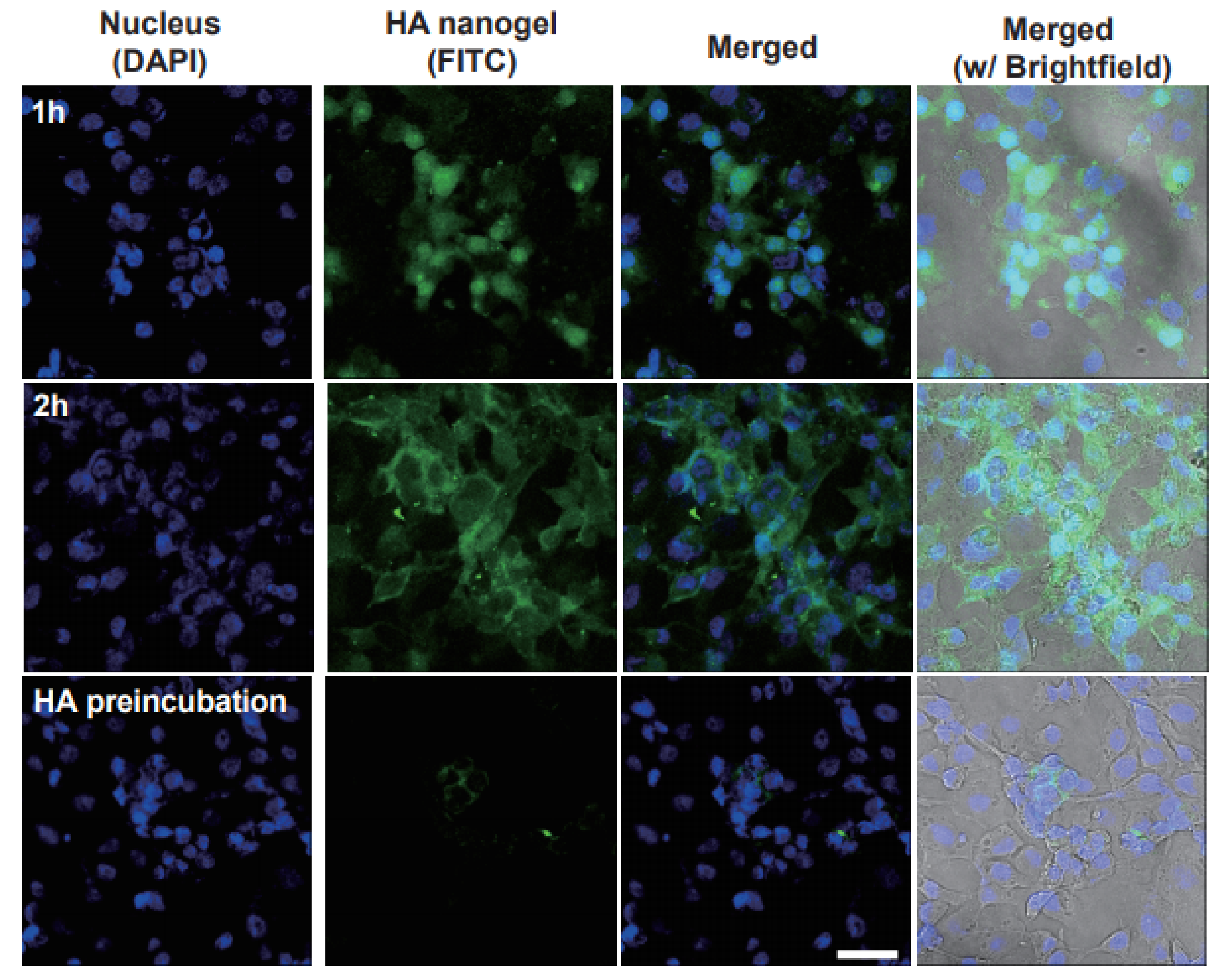 Materials 14 01504 g004 Materials 14 01504 g004