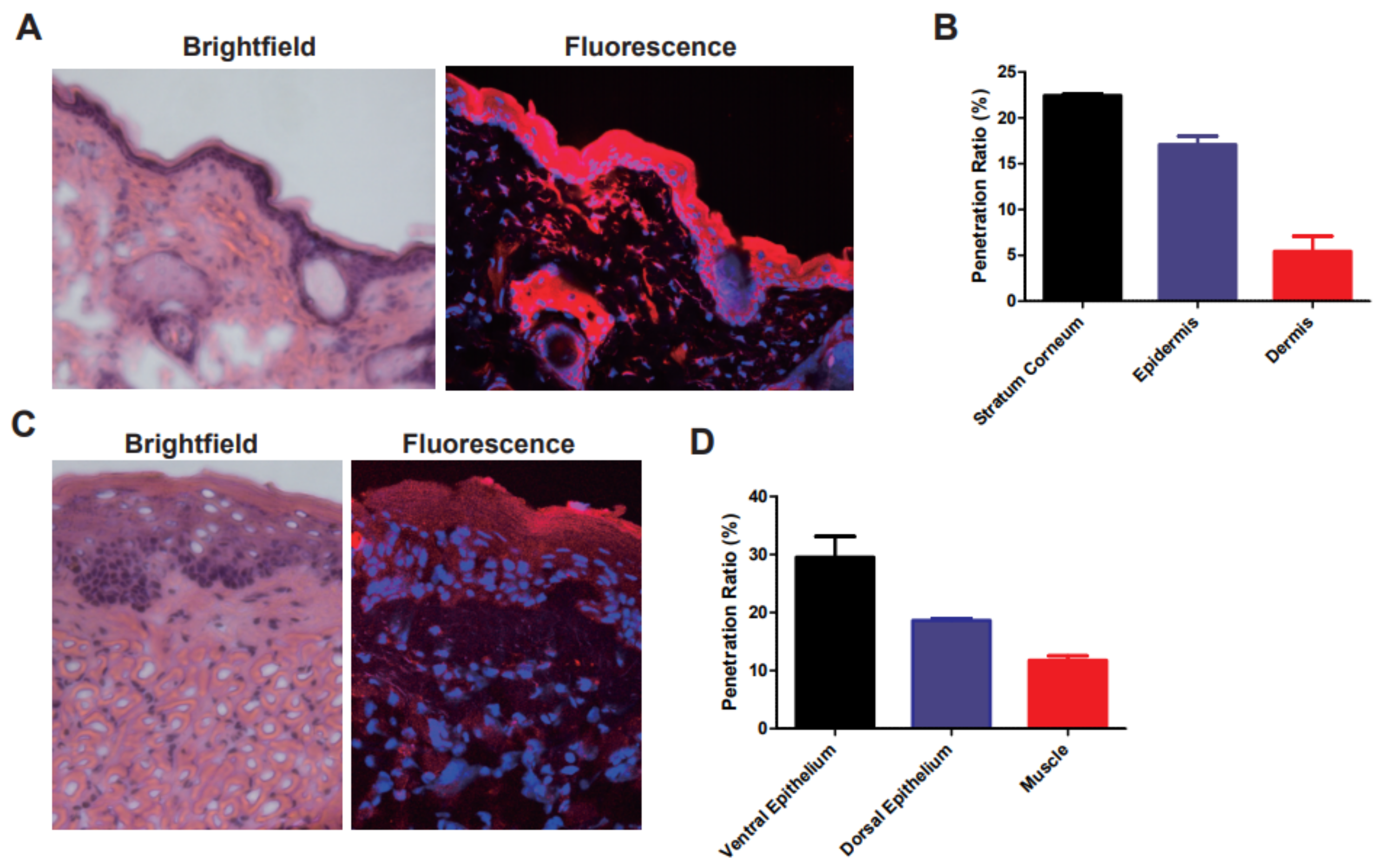Materials 14 01504 g005 Materials 14 01504 g005