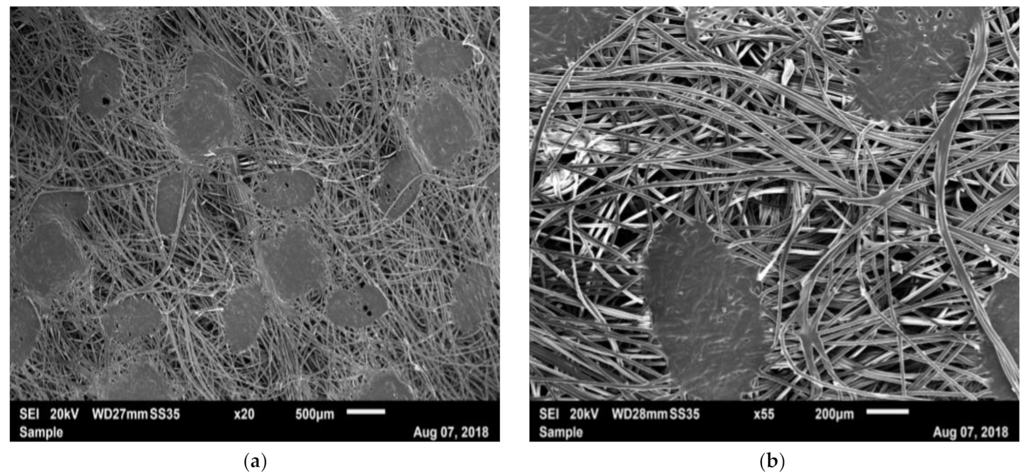 Materials 14 01508 g006a