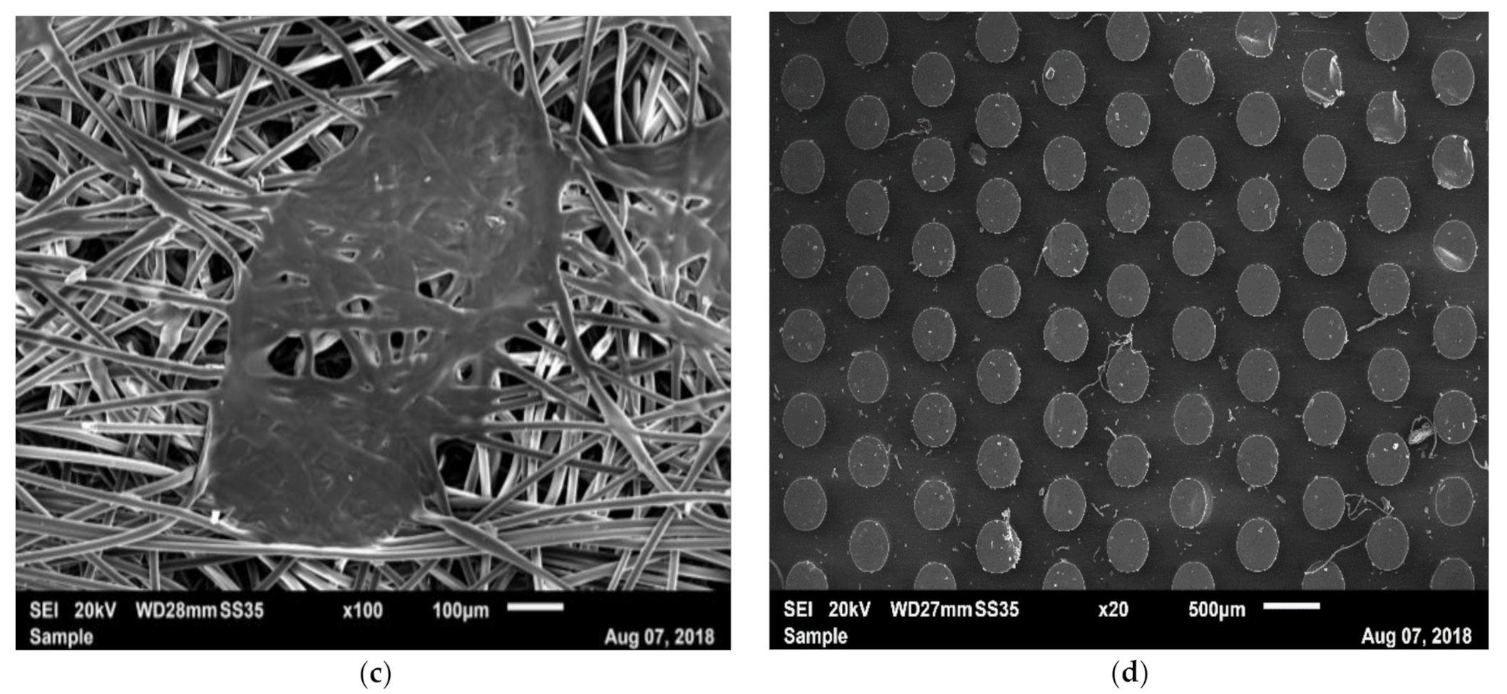 Materials 14 01508 g006b