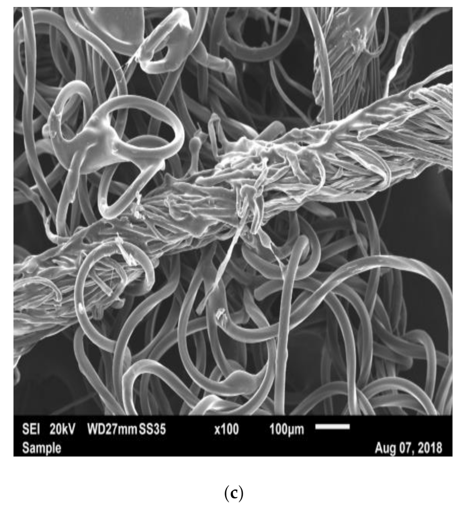 Materials 14 01508 g007b