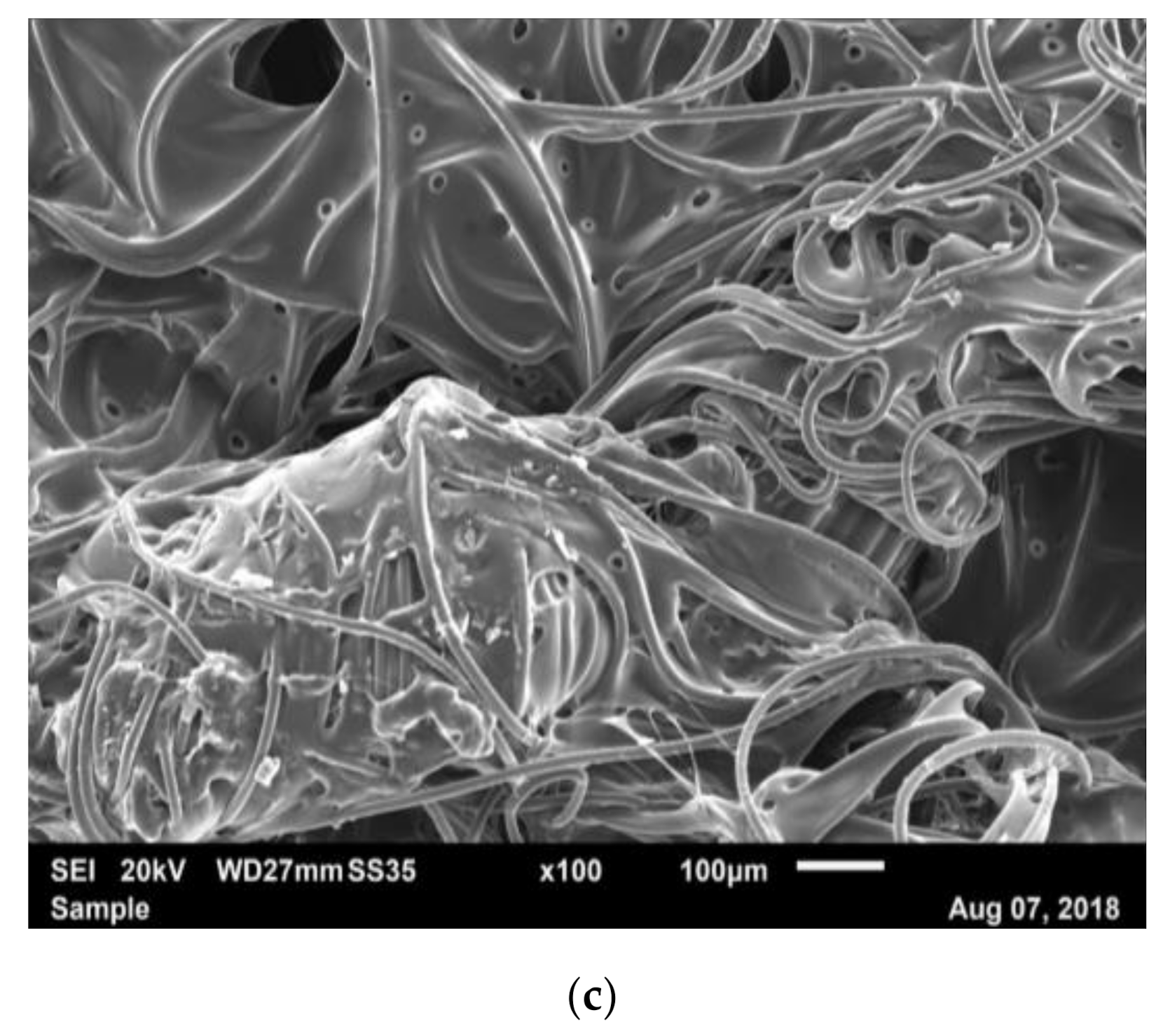 Materials 14 01508 g008b