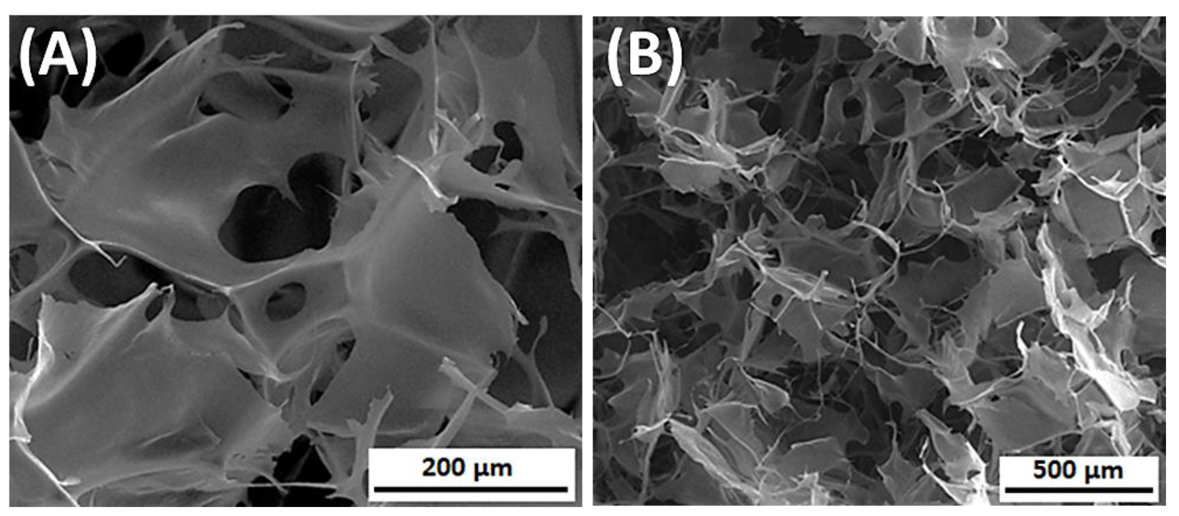 Materials 14 01510 g008 Materials 14 01510 g008