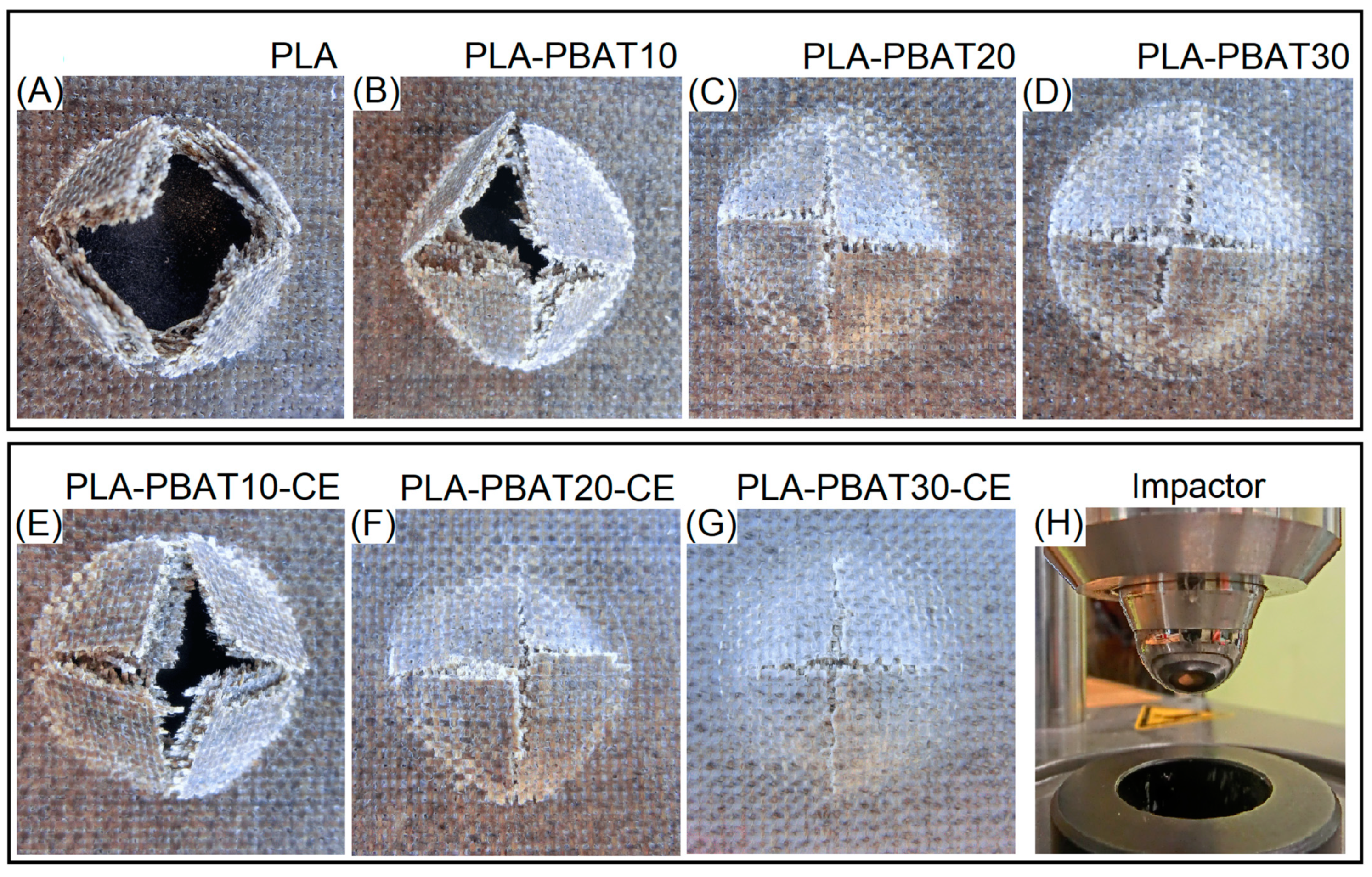 Materials 14 01523 g007 Materials 14 01523 g007
