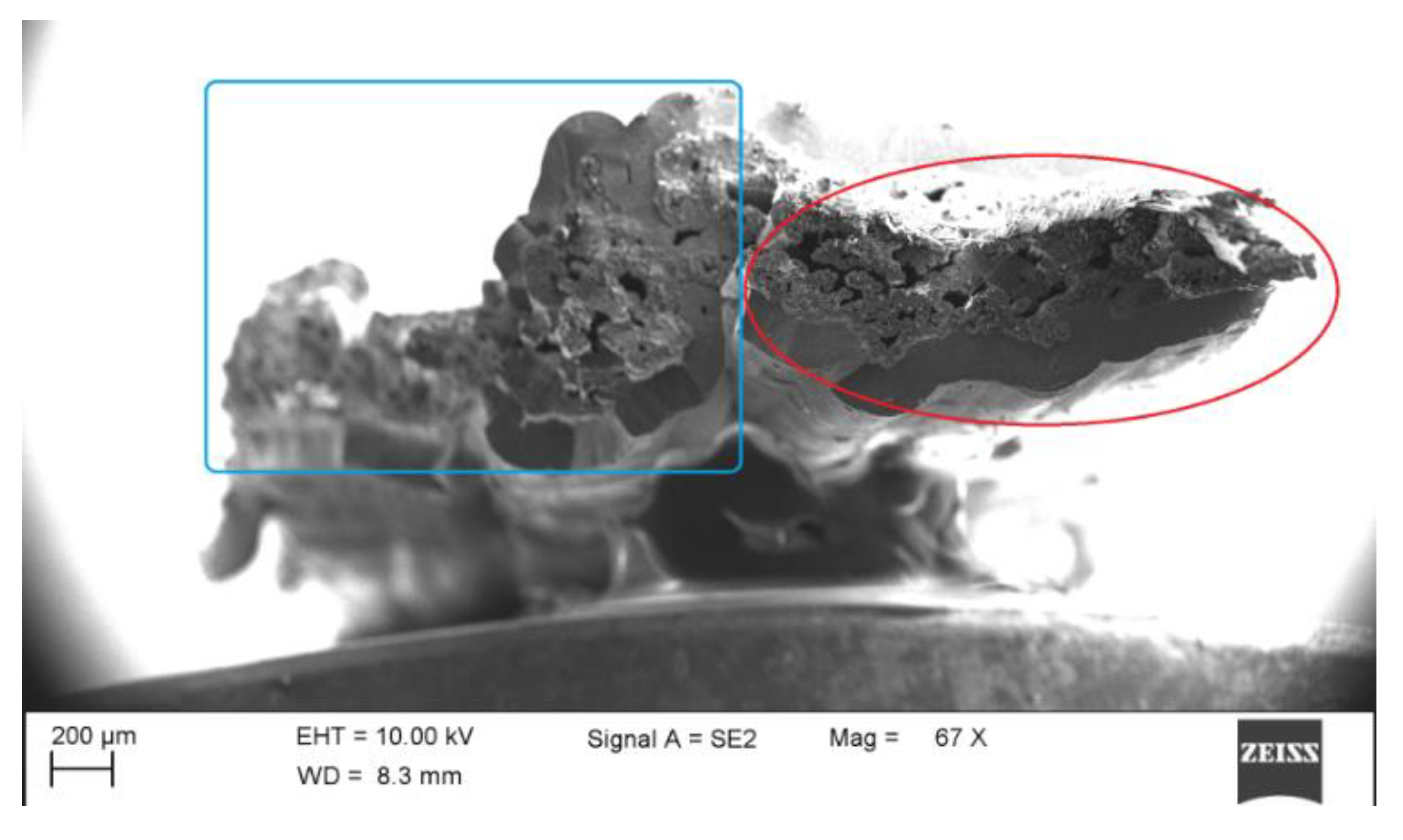 Materials 14 01525 g004