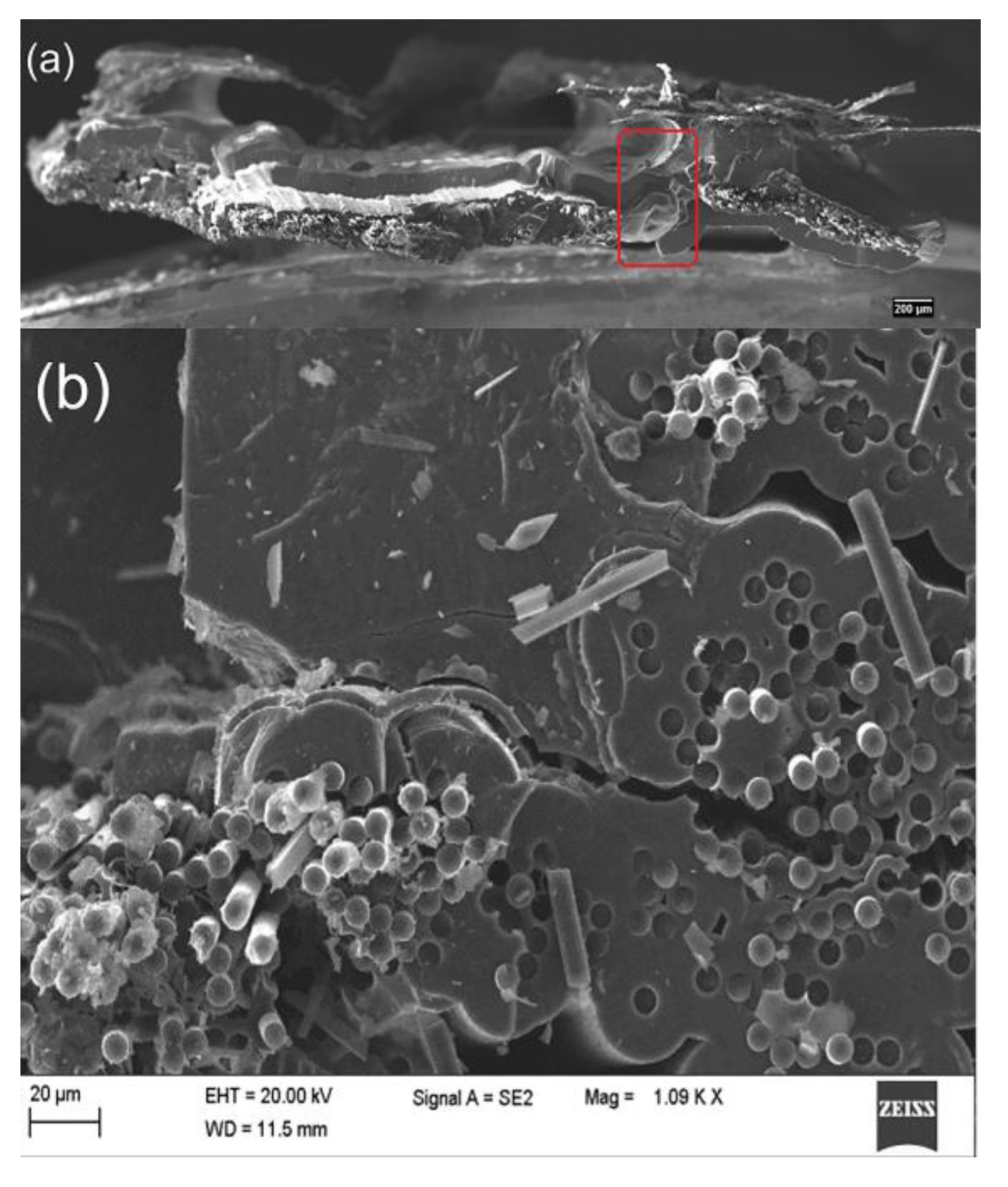 Materials 14 01525 g005