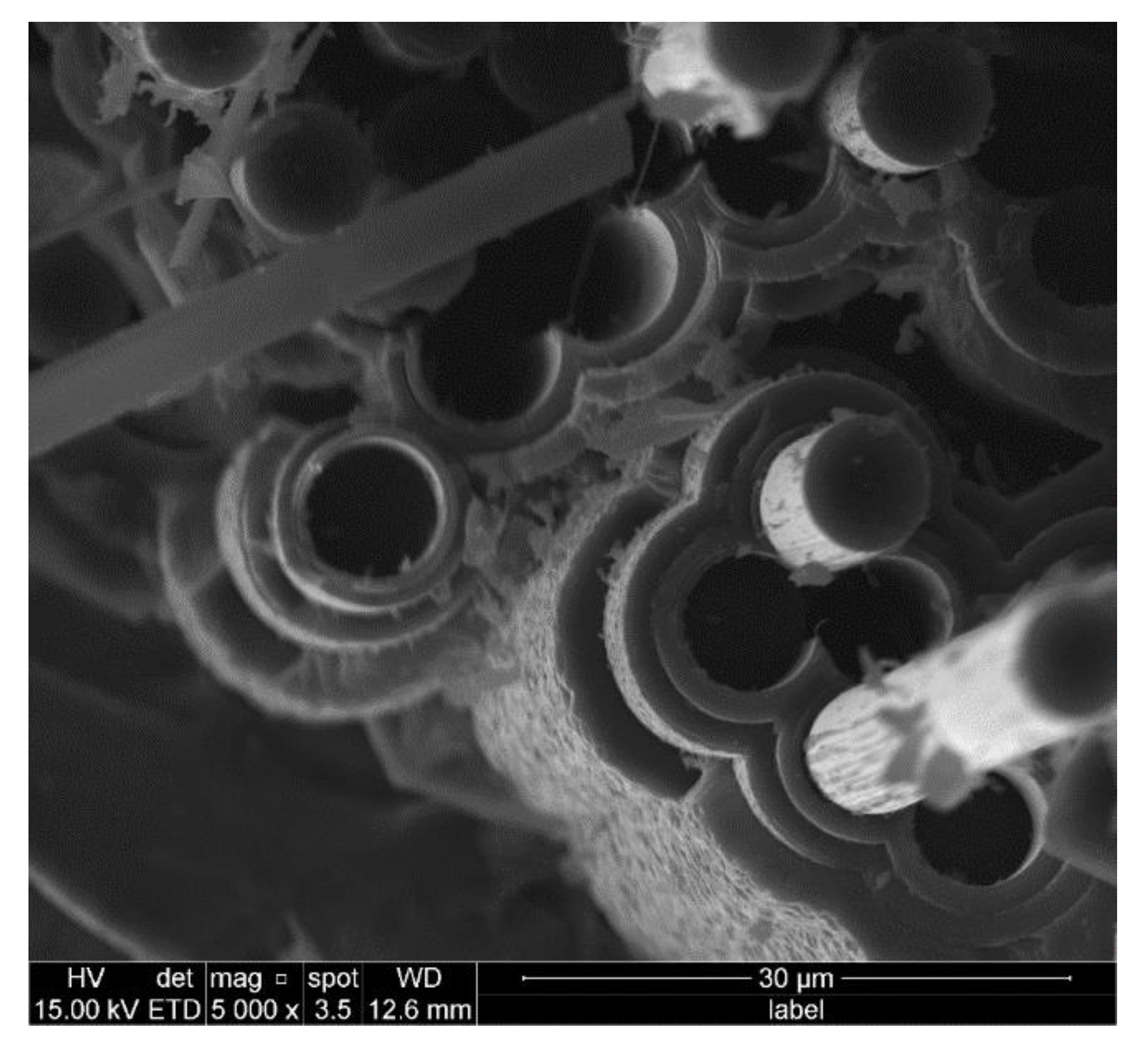 Materials 14 01525 g009