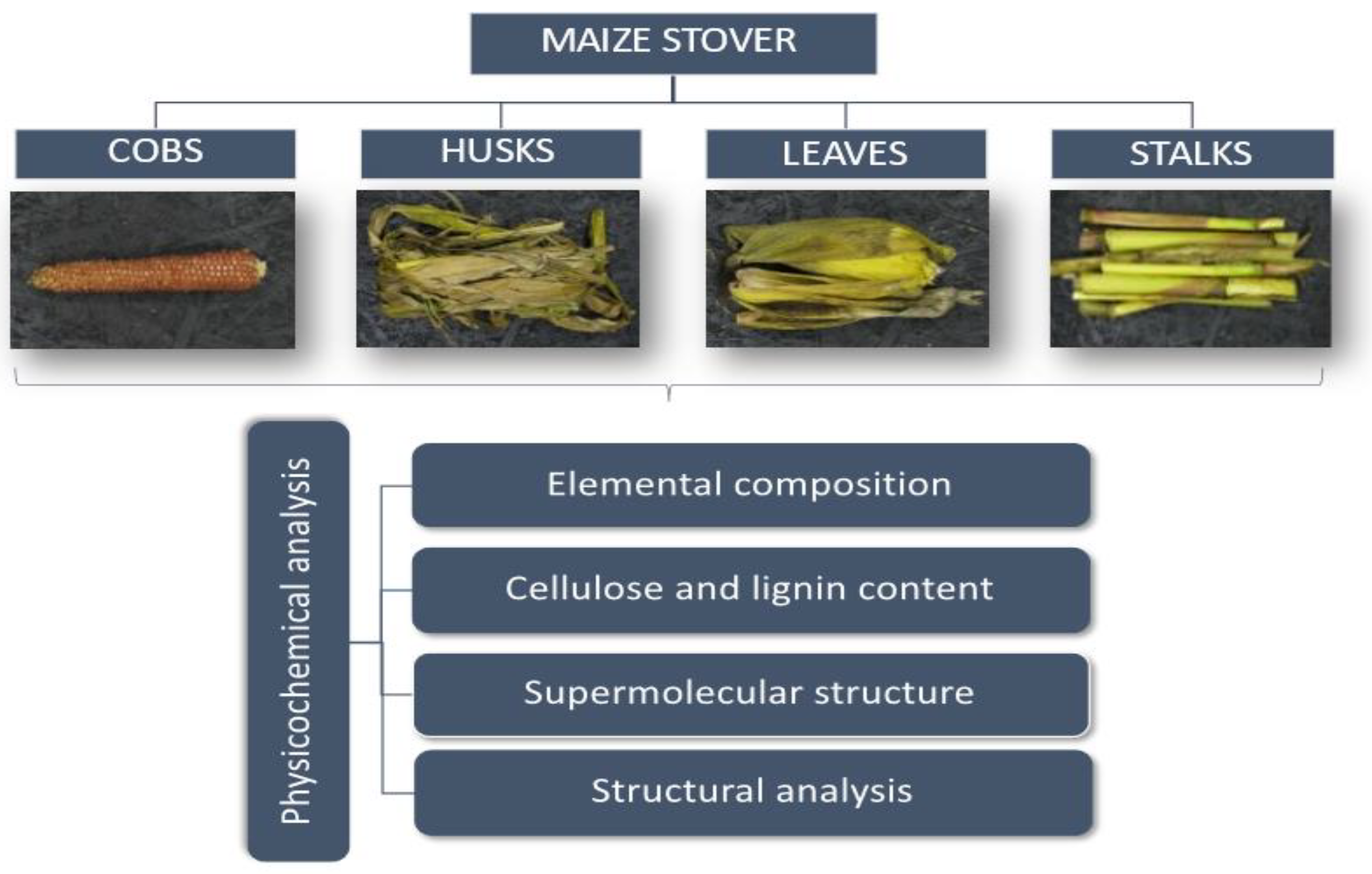 Materials 14 01527 g001 Materials 14 01527 g001