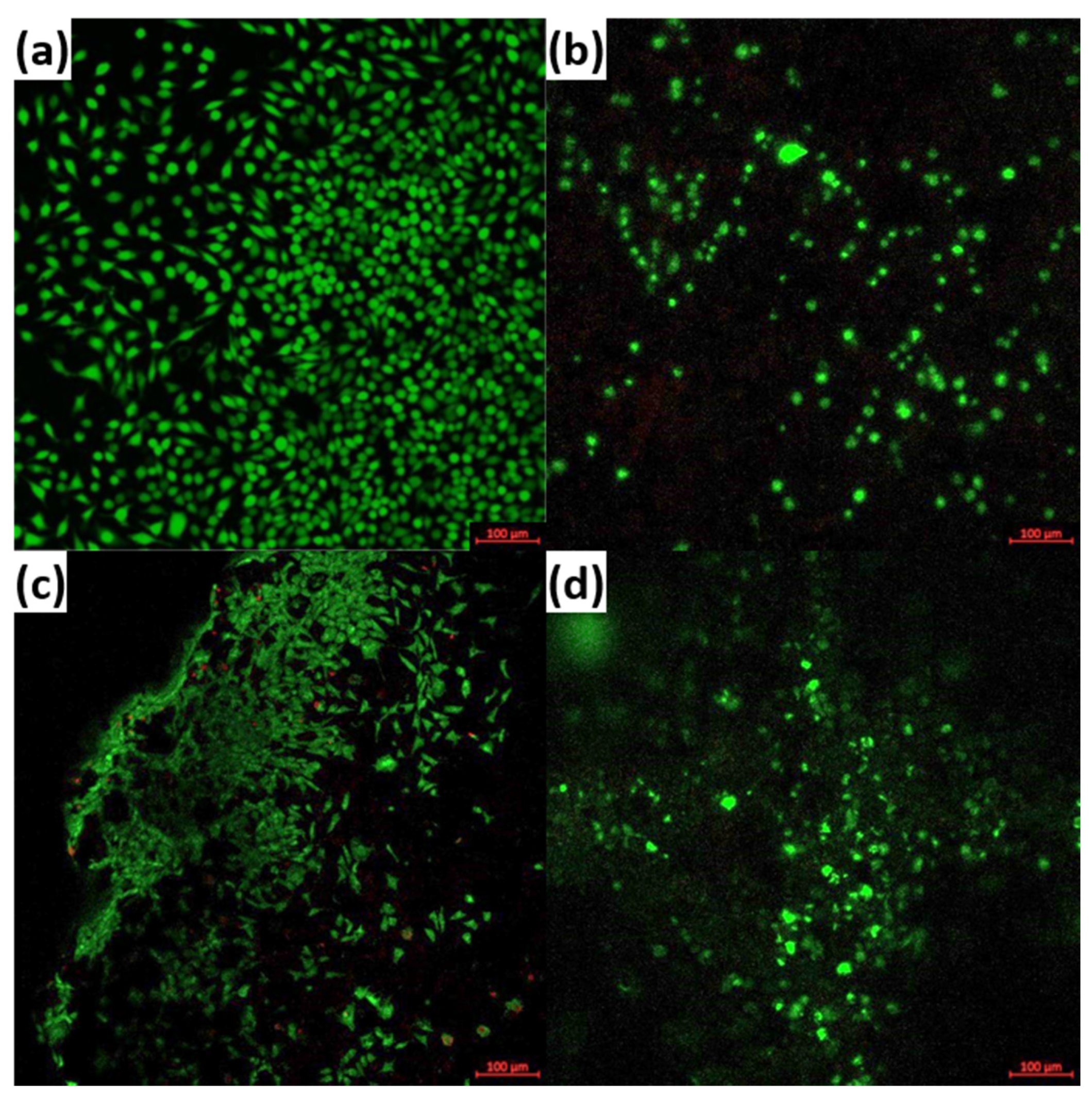 Materials 14 01532 g009