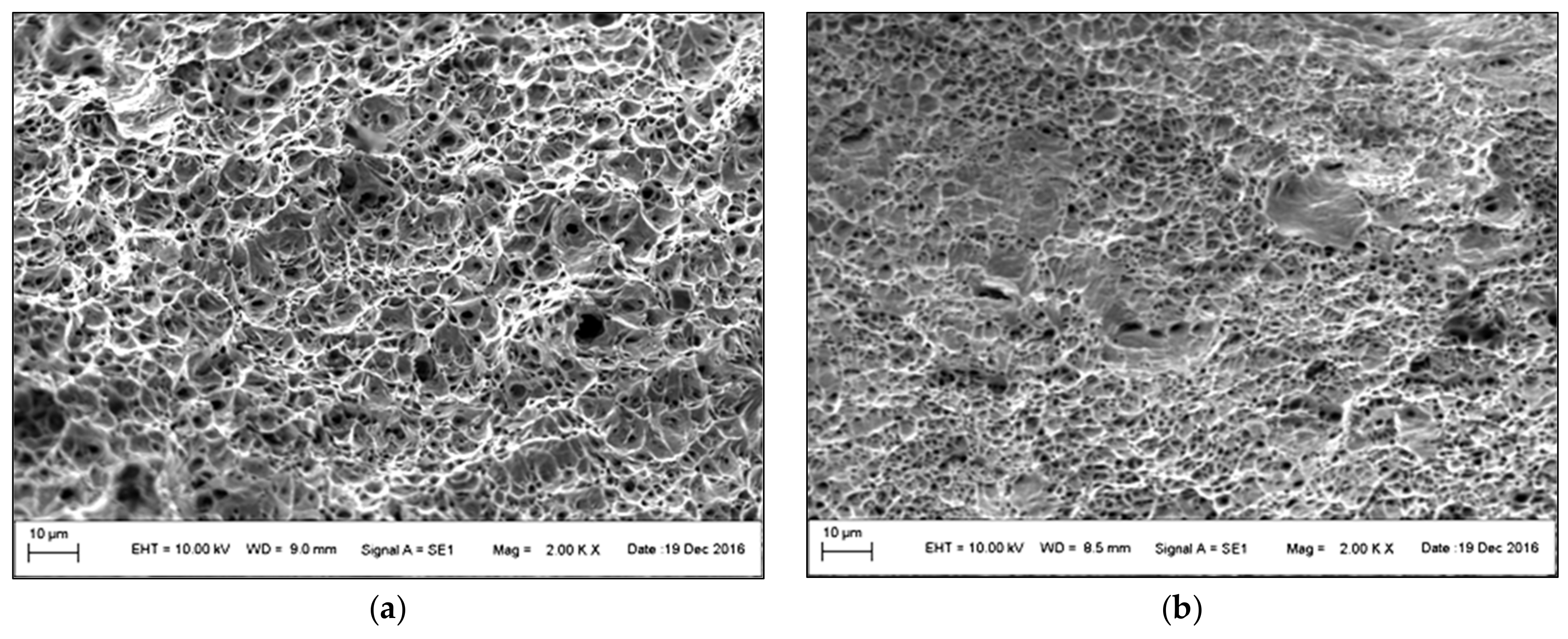 Materials 14 01553 g009 Materials 14 01553 g009