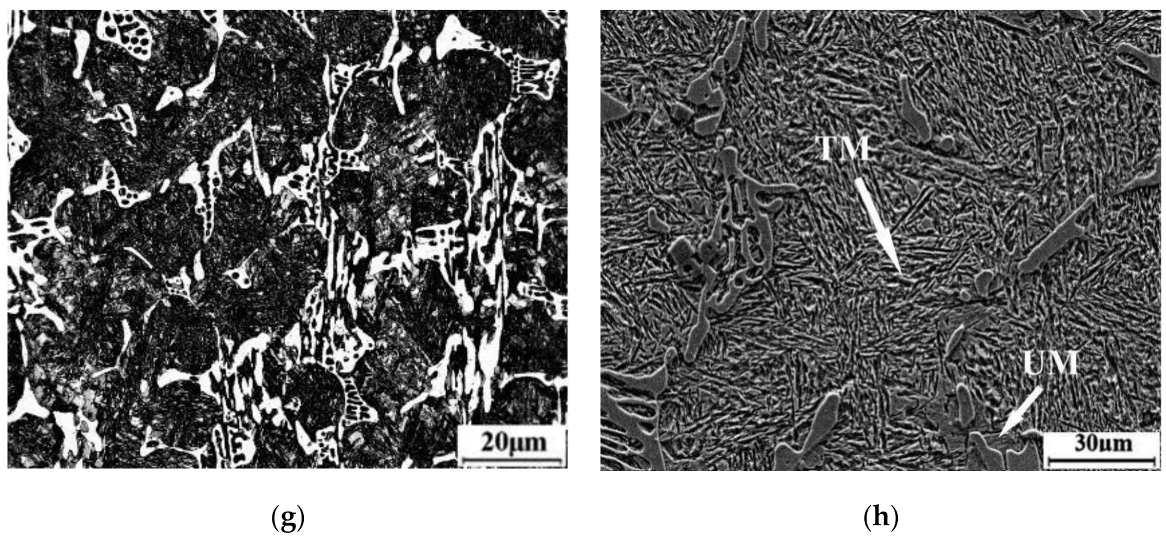 Materials 14 01556 g005b Materials 14 01556 g005b