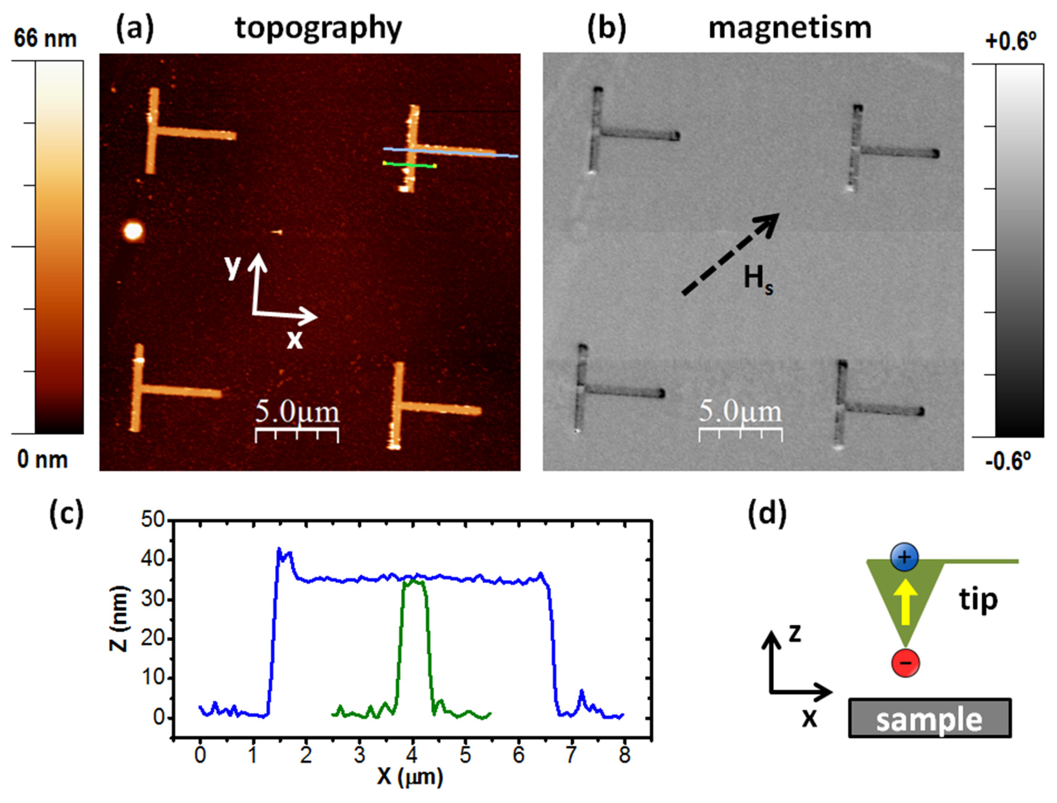 Materials 14 01567 g002 Materials 14 01567 g002