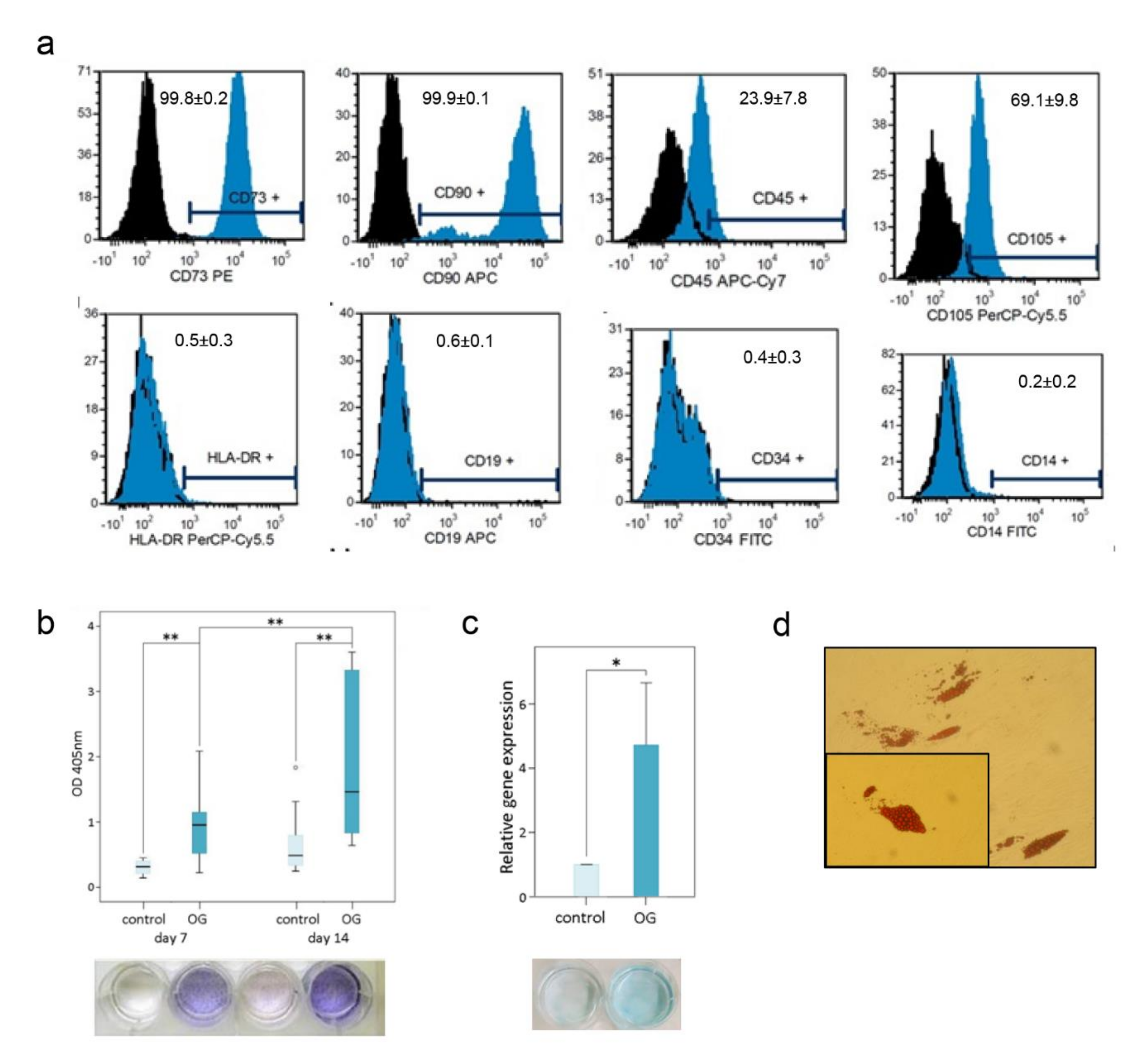 Materials 14 01574 g002 Materials 14 01574 g002