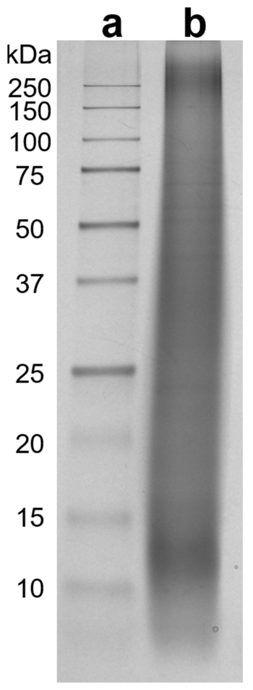 Materials 14 01582 g001
