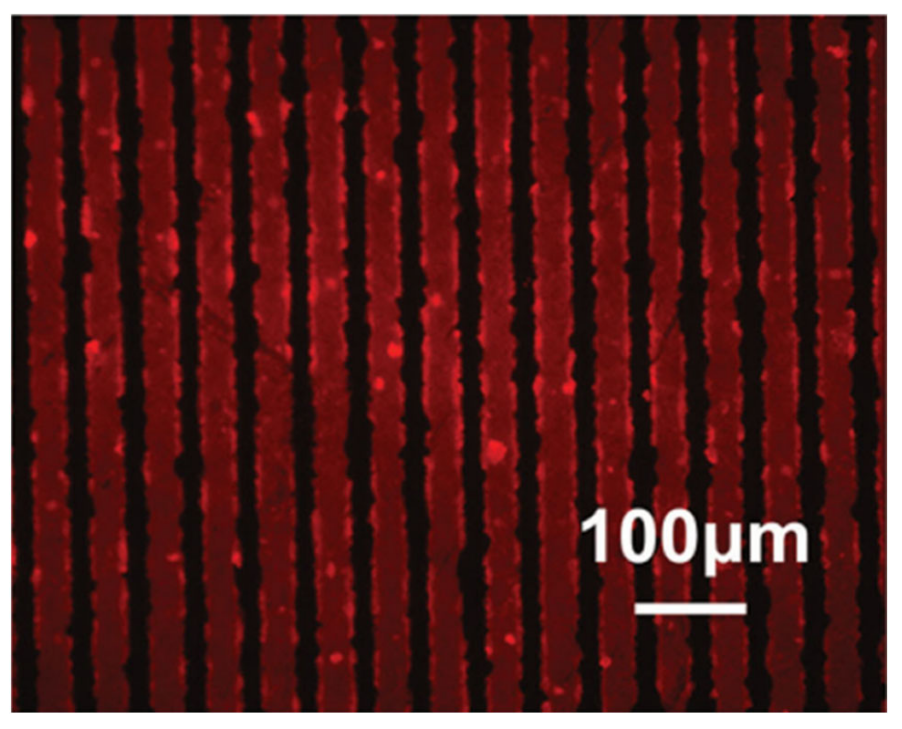 Materials 14 01590 g005 Materials 14 01590 g005