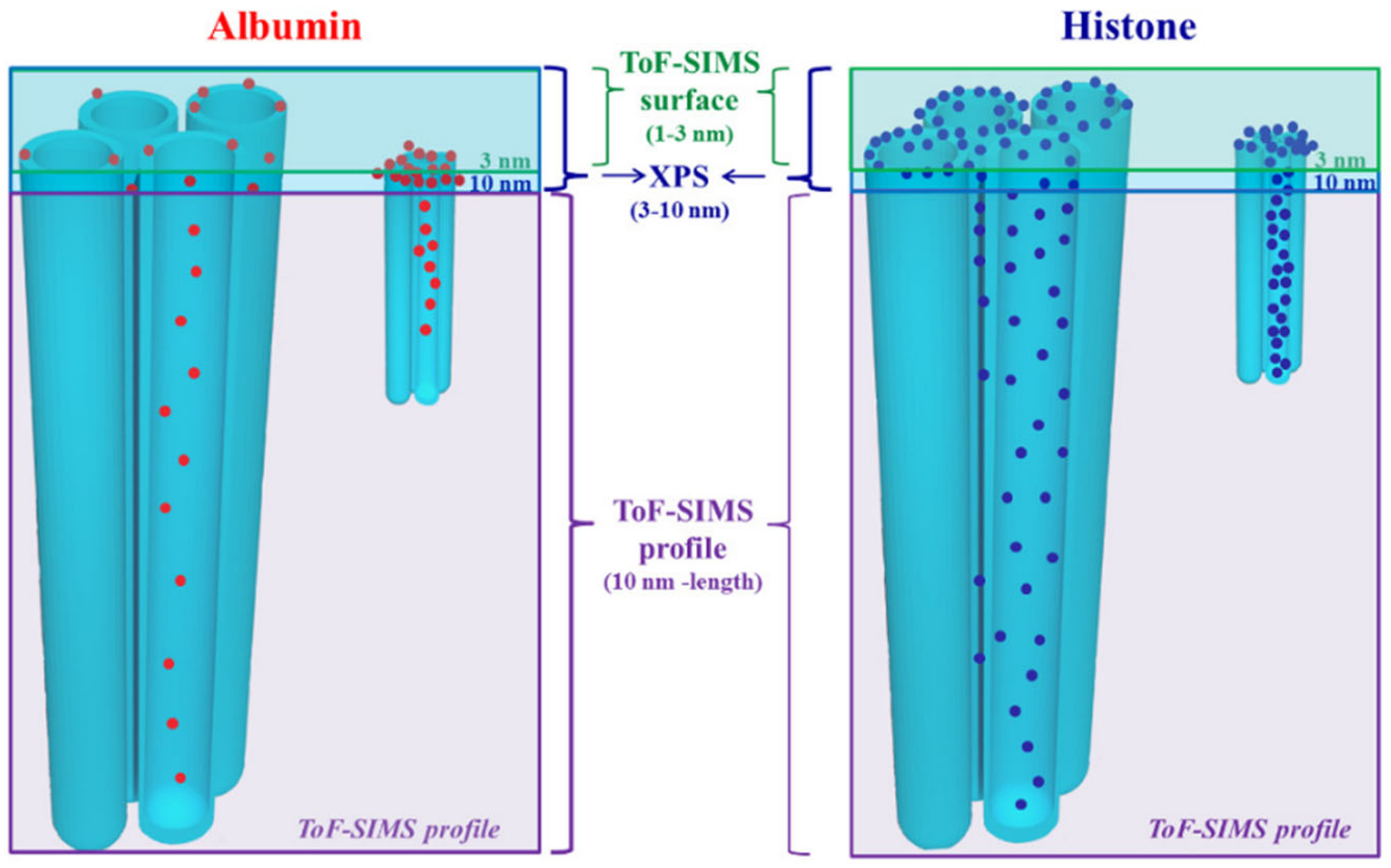 Materials 14 01590 g006 Materials 14 01590 g006