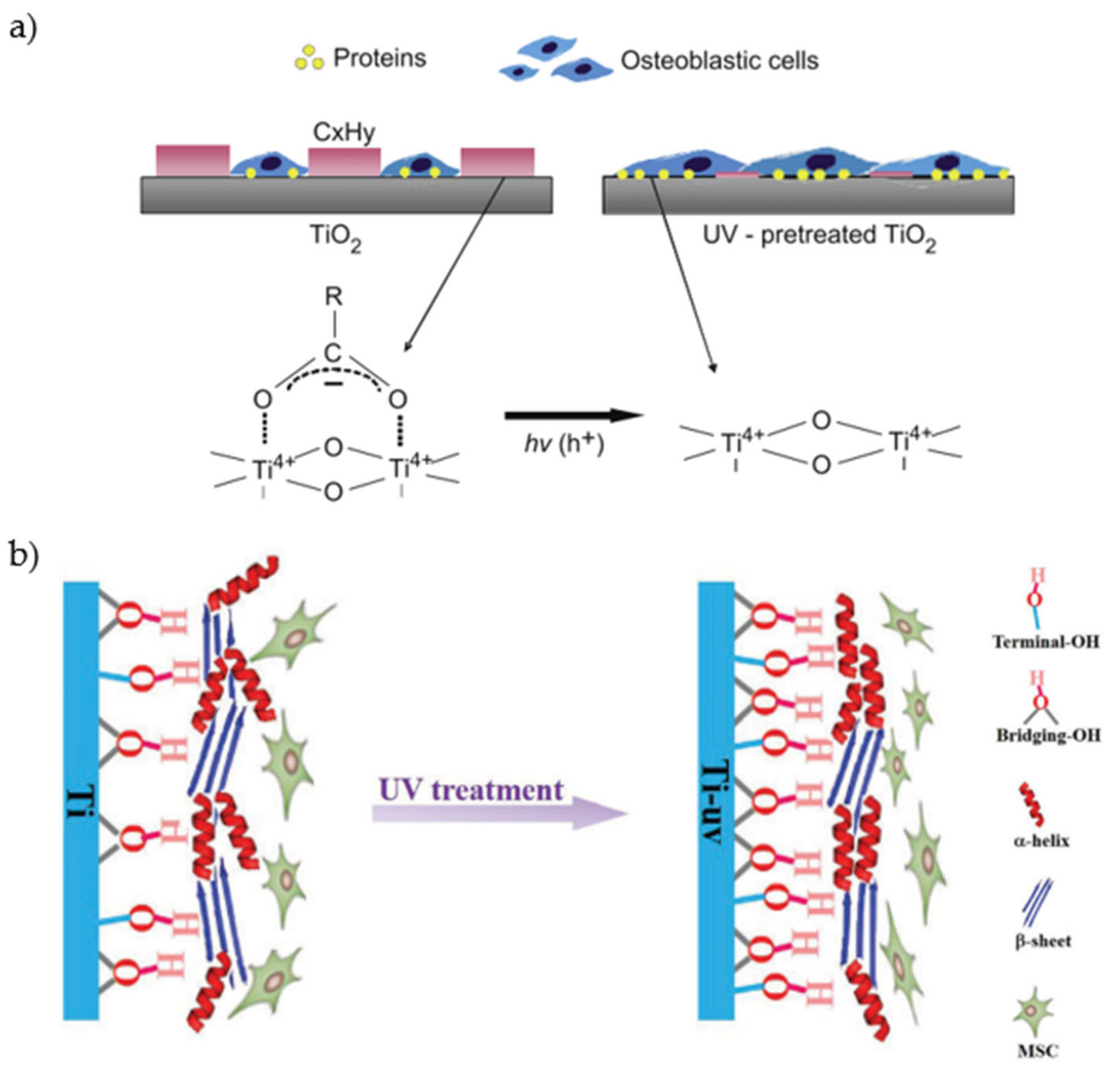 Materials 14 01590 g008 Materials 14 01590 g008