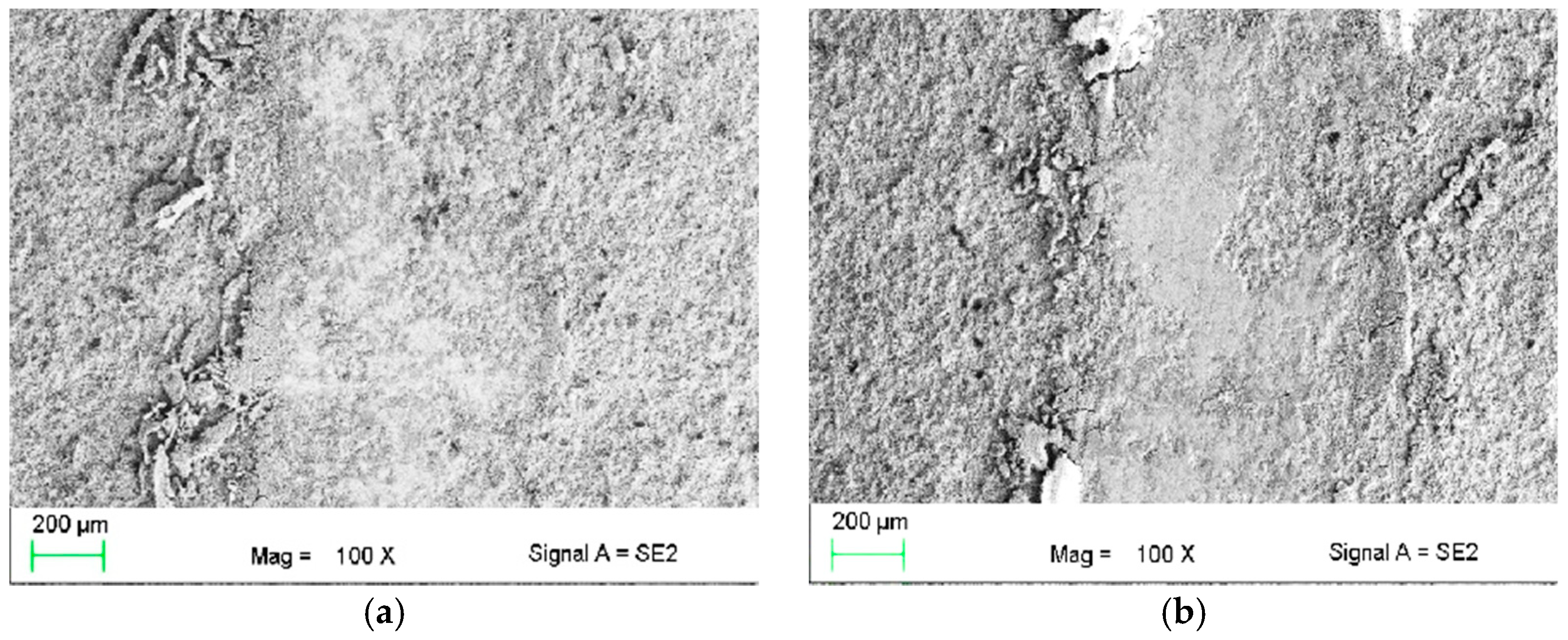 Materials 14 01594 g008