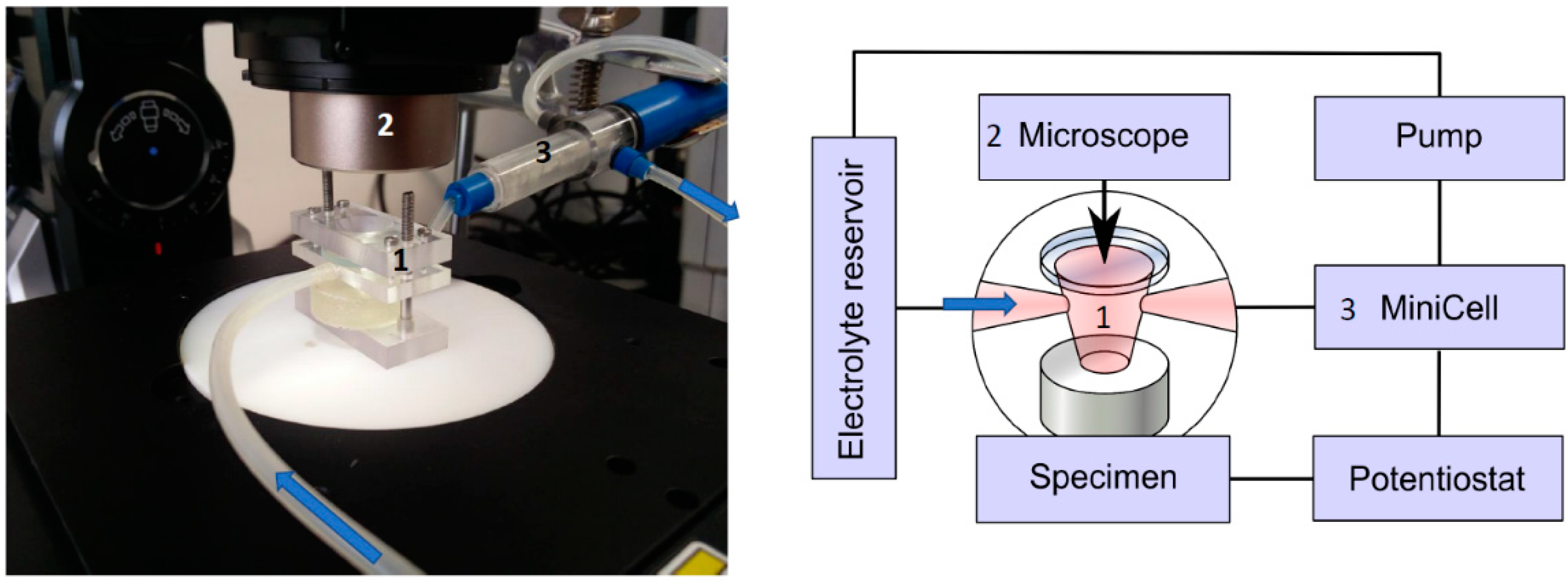Materials 14 01601 g002