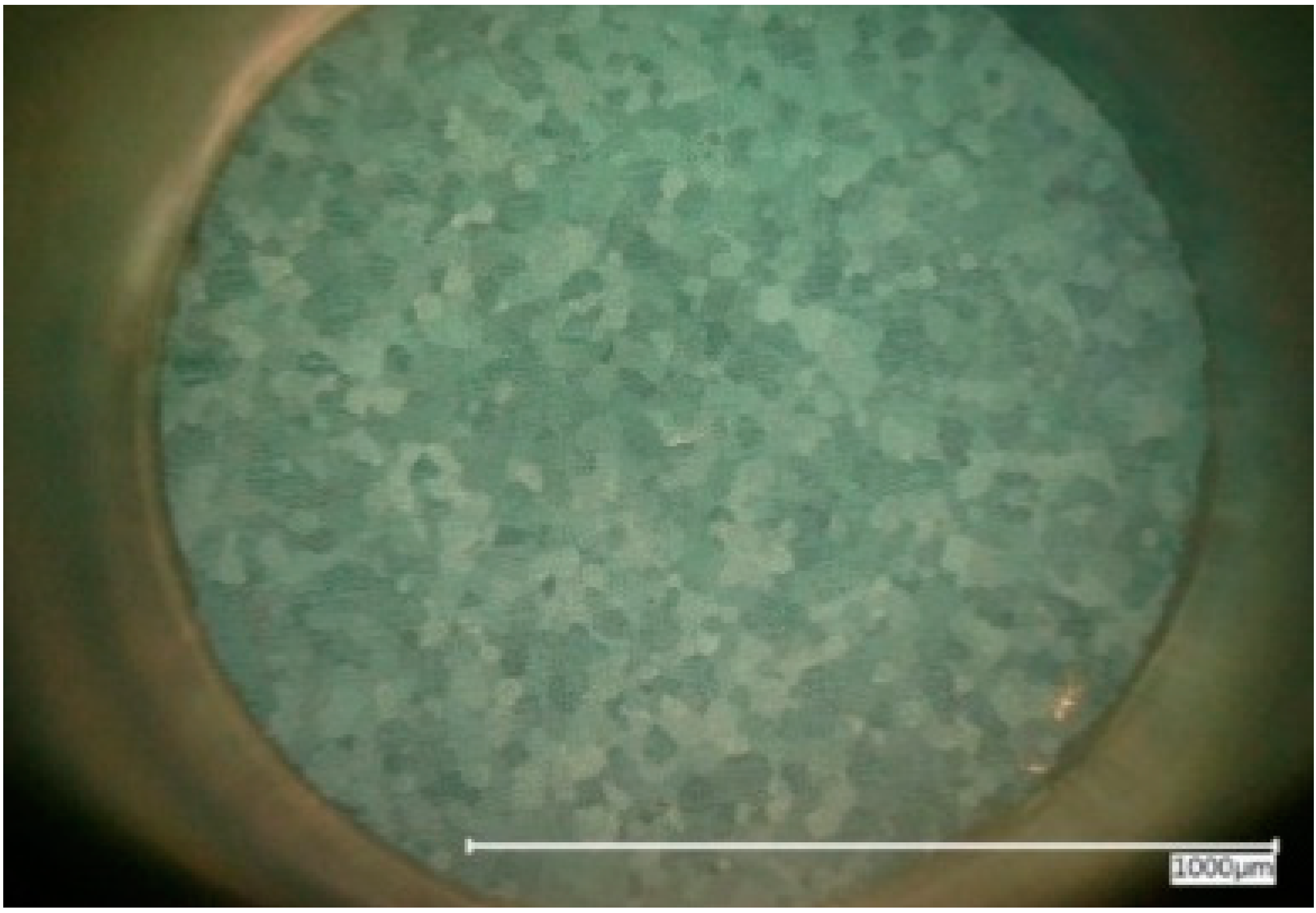 Materials 14 01601 g003