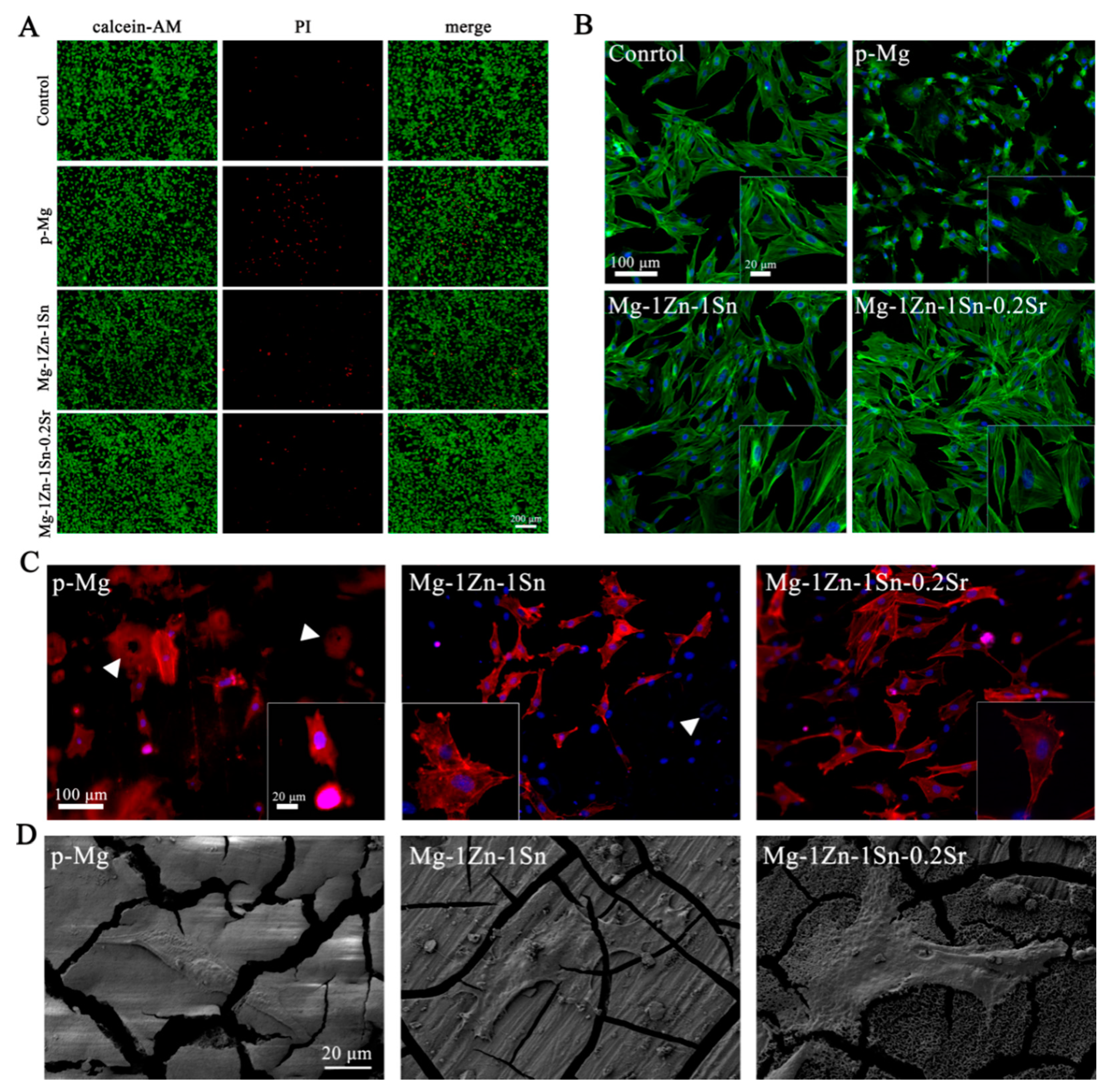 Materials 14 01606 g007