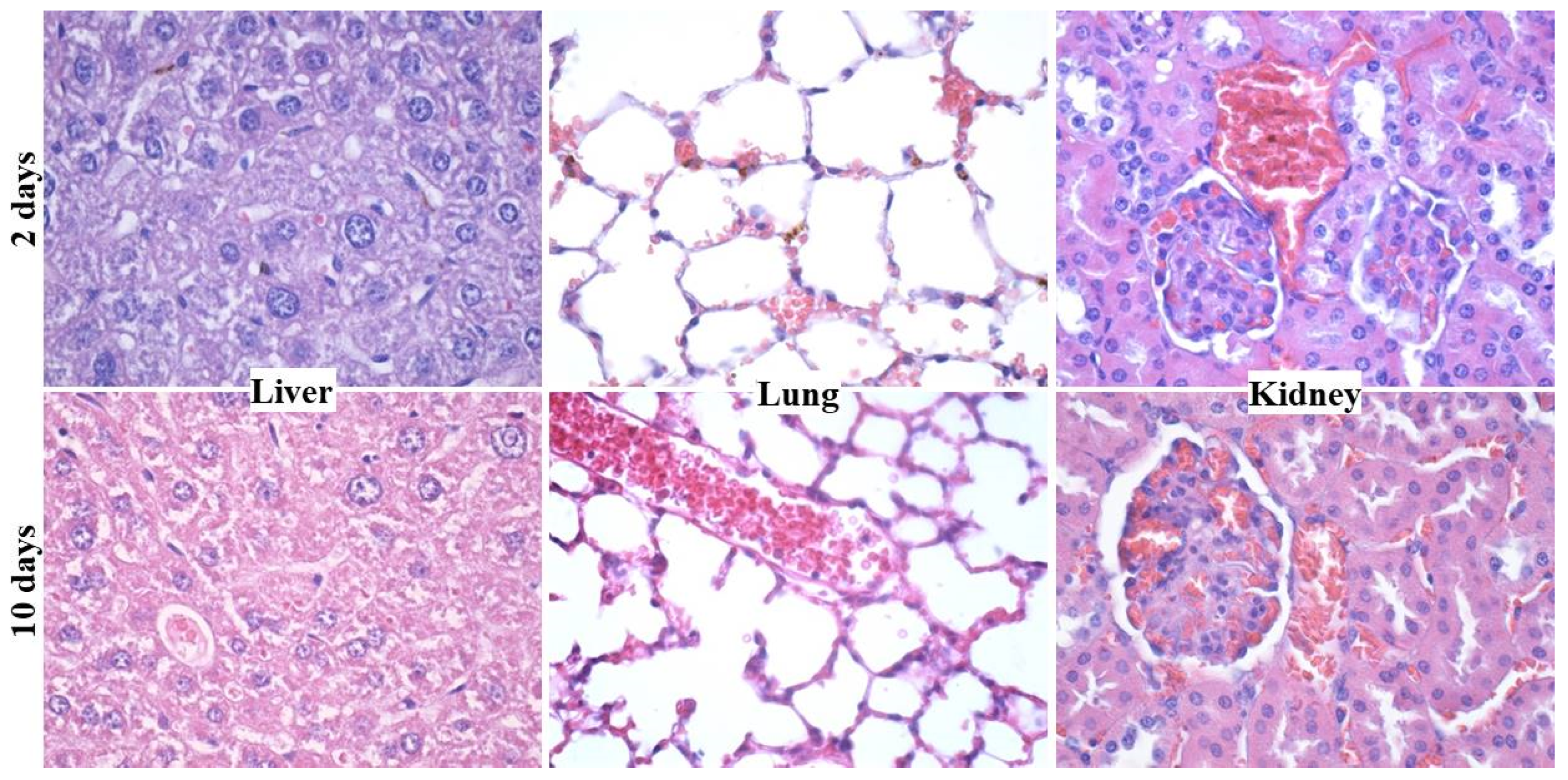 Materials 14 01612 g005 Materials 14 01612 g005