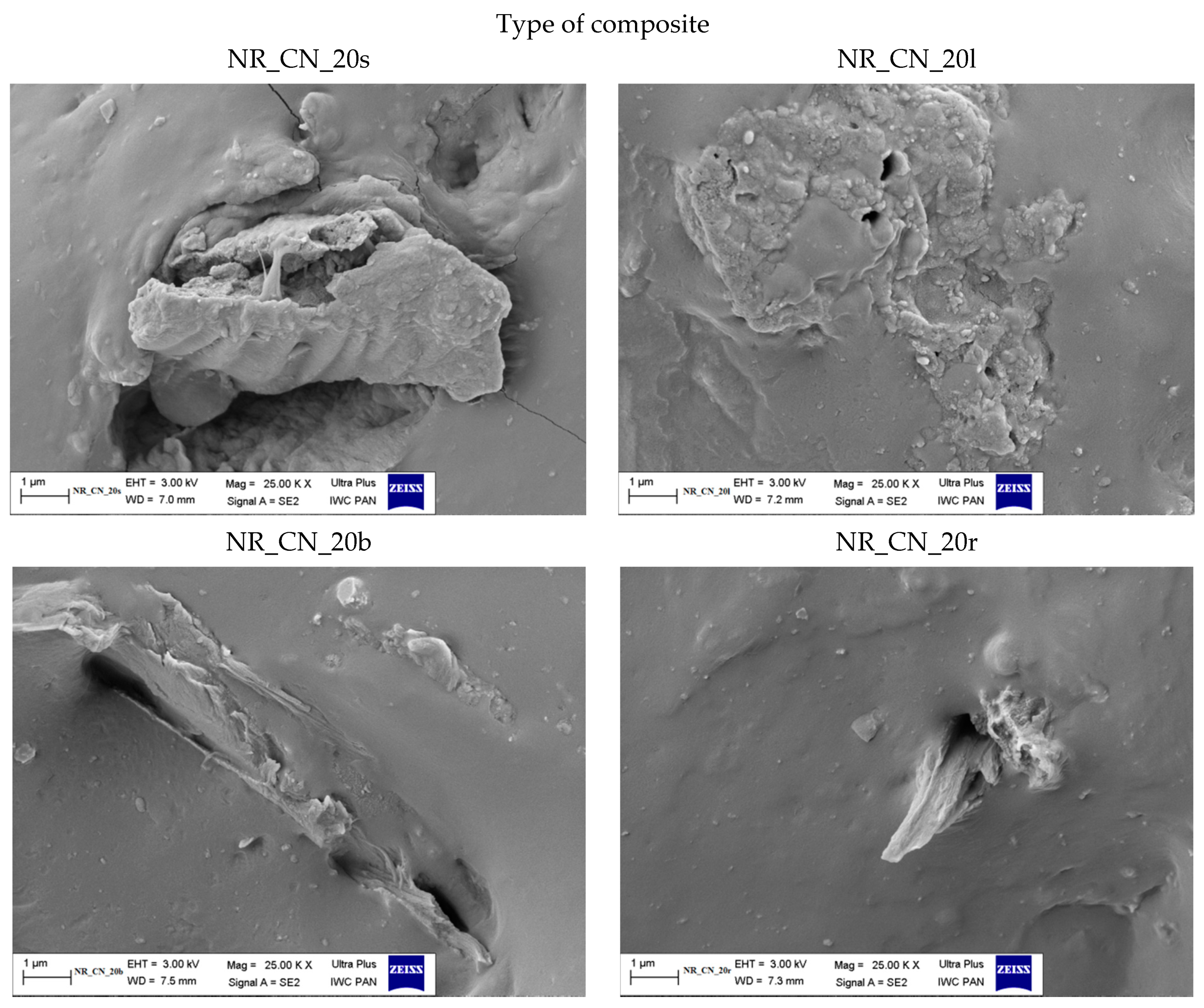 Materials Free Full Text Common Nettle Urtica Dioica L As An Active Filler Of Natural Rubber Biocomposites Html