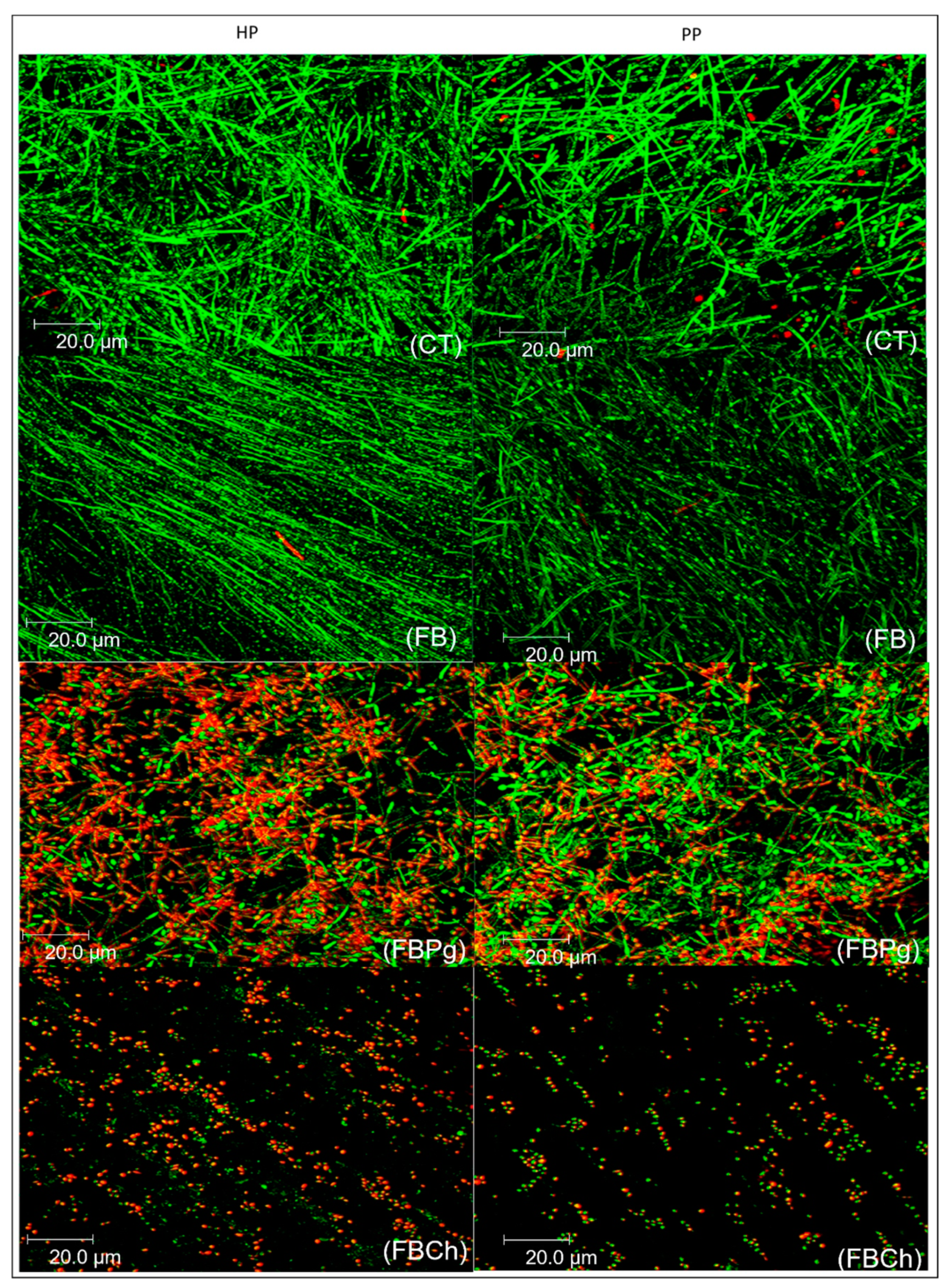 Materials 14 01618 g001 Materials 14 01618 g001