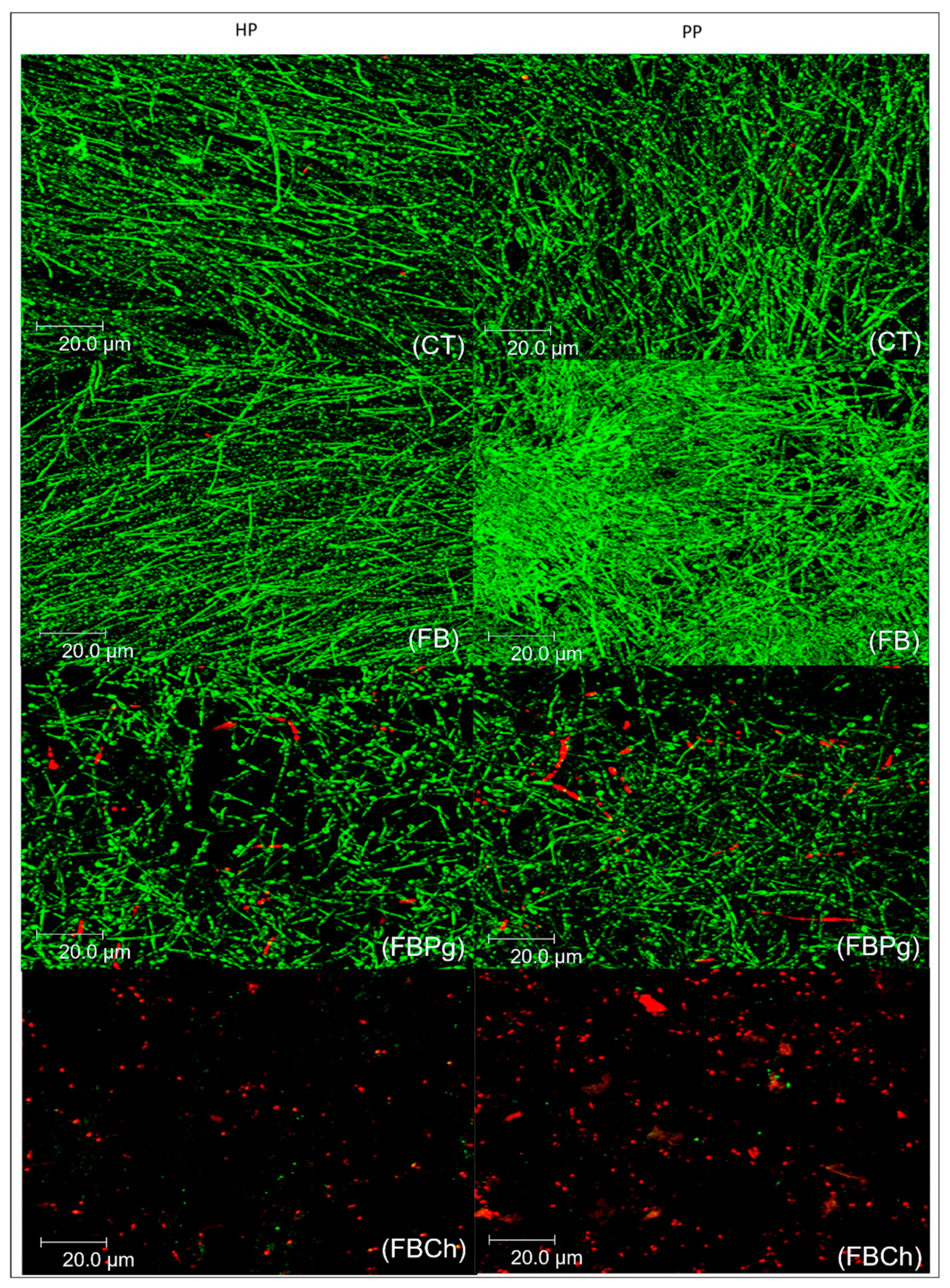 Materials 14 01618 g002 Materials 14 01618 g002