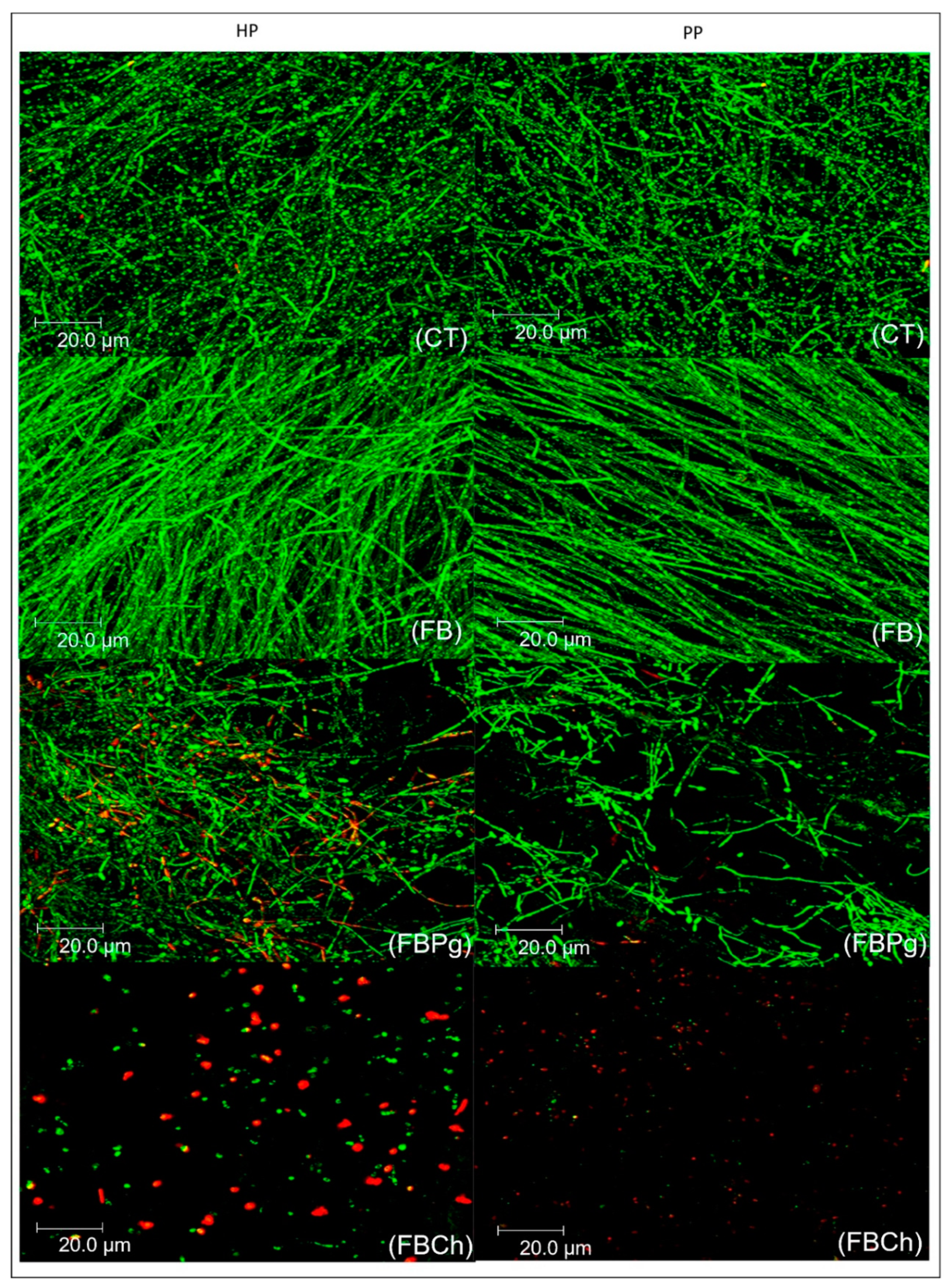 Materials 14 01618 g003 Materials 14 01618 g003