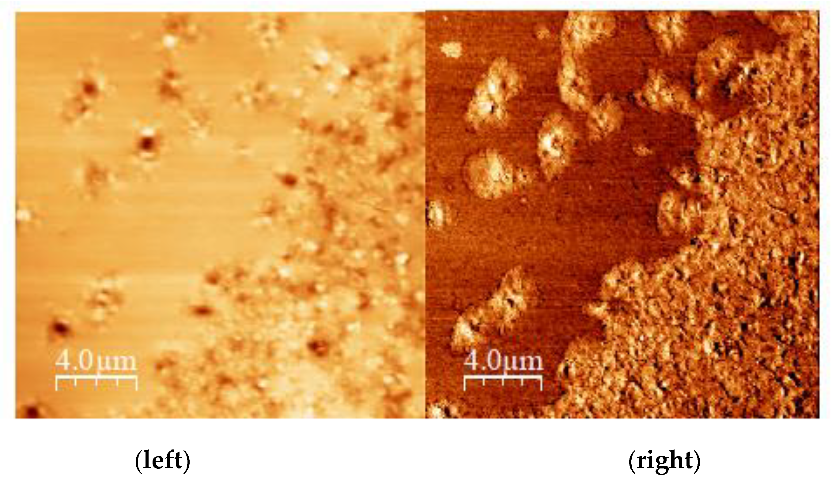 Materials 14 01622 g010