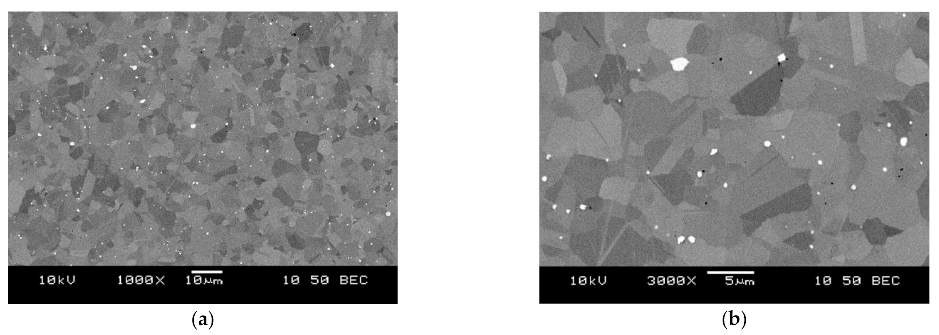 Materials 14 01623 g001 Materials 14 01623 g001