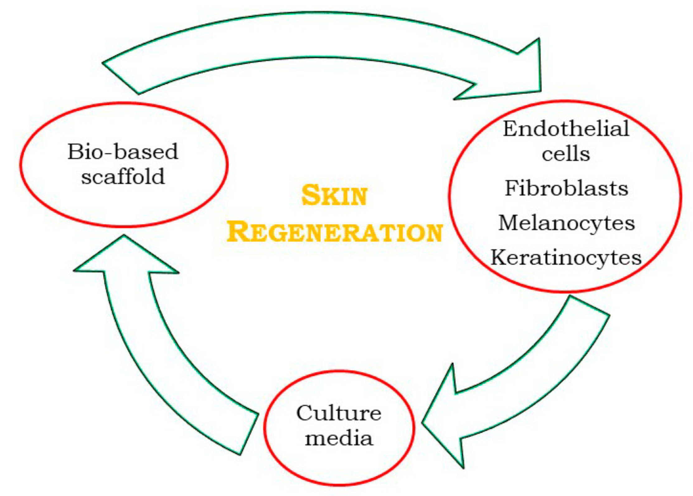 Materials 14 01631 g004 Materials 14 01631 g004
