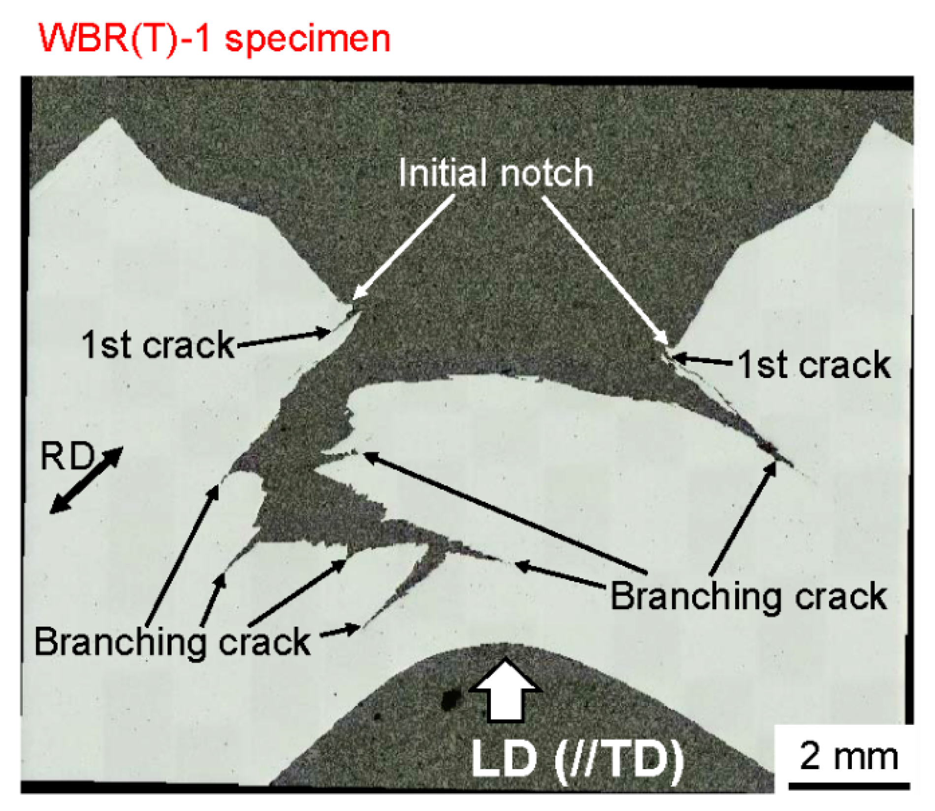 Materials 14 01634 g011 Materials 14 01634 g011
