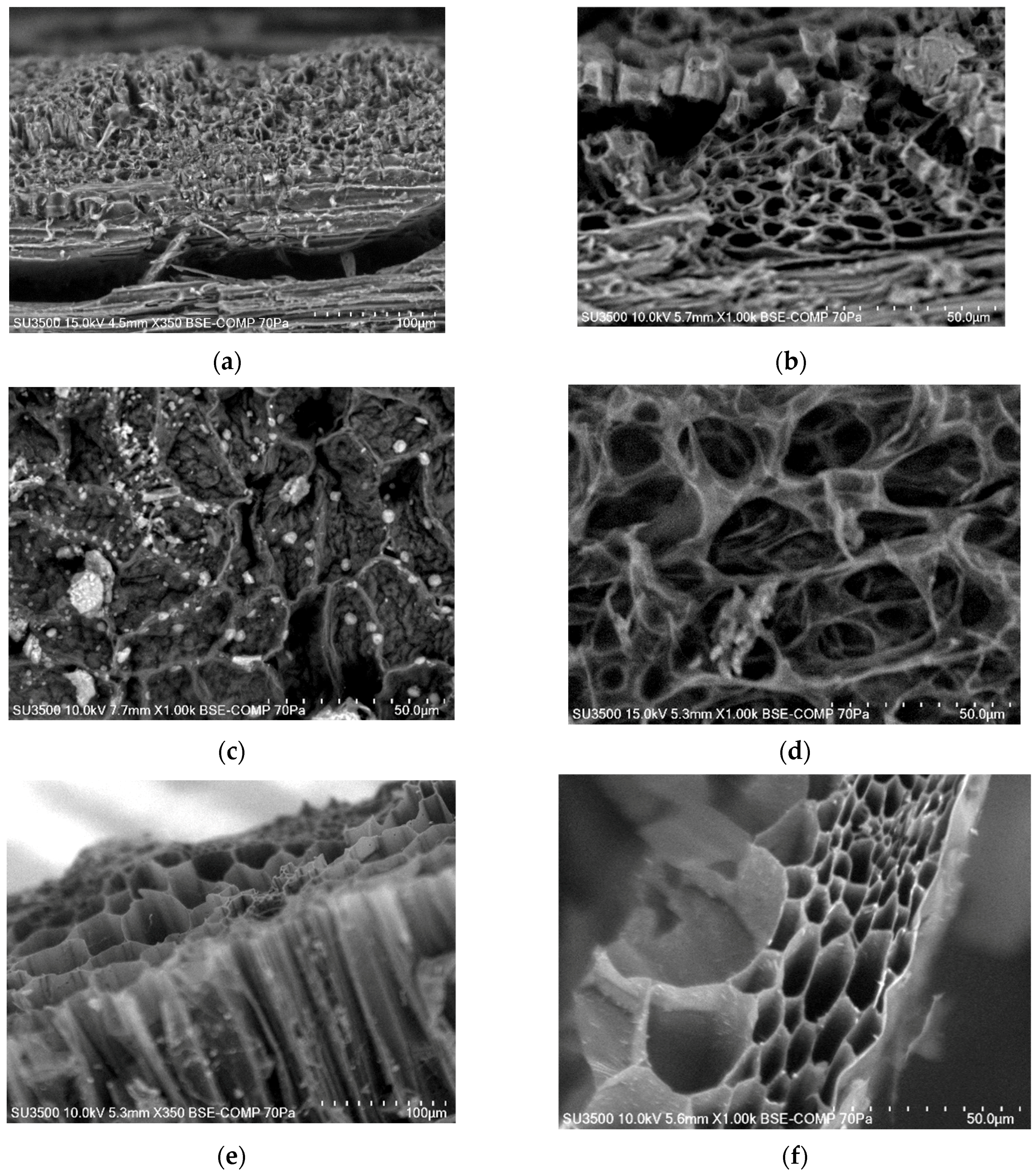 Materials 14 01644 g002 Materials 14 01644 g002