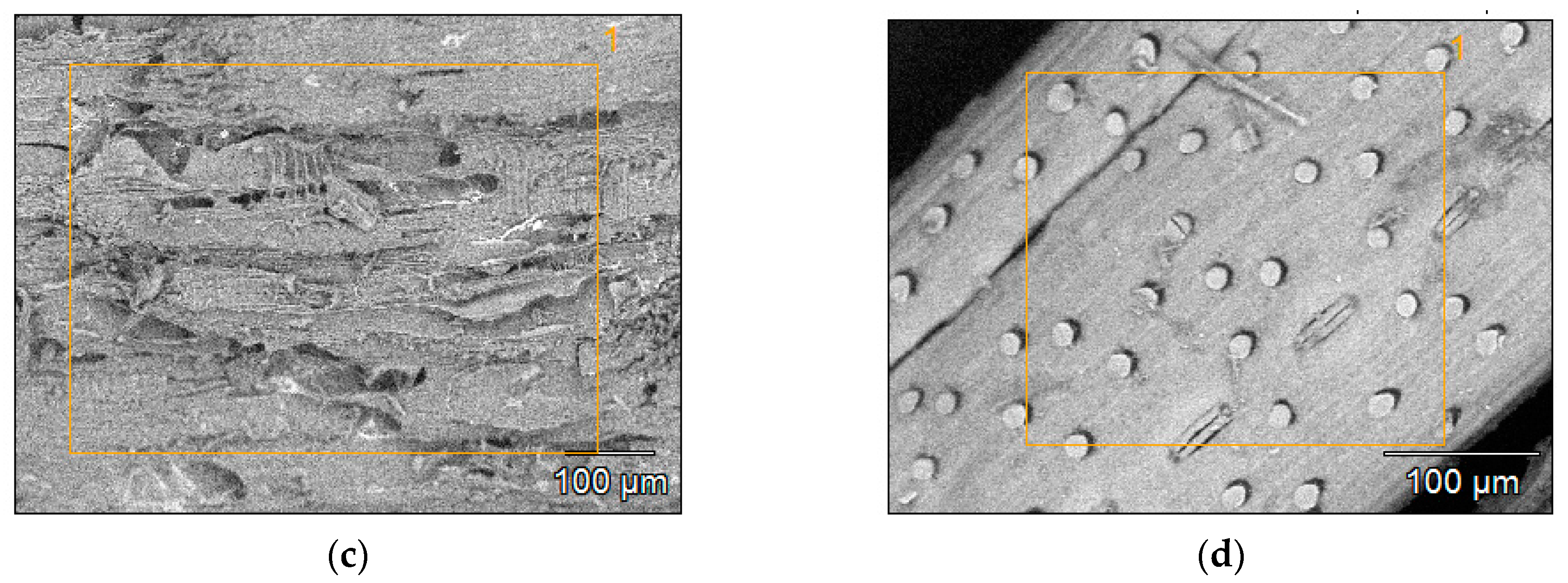 Materials 14 01644 g003b Materials 14 01644 g003b