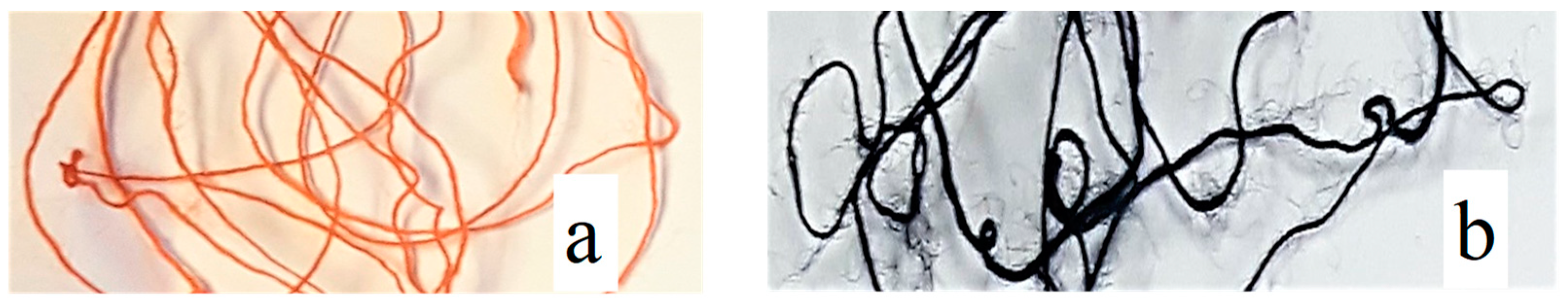 Materials 14 01648 g001 Materials 14 01648 g001