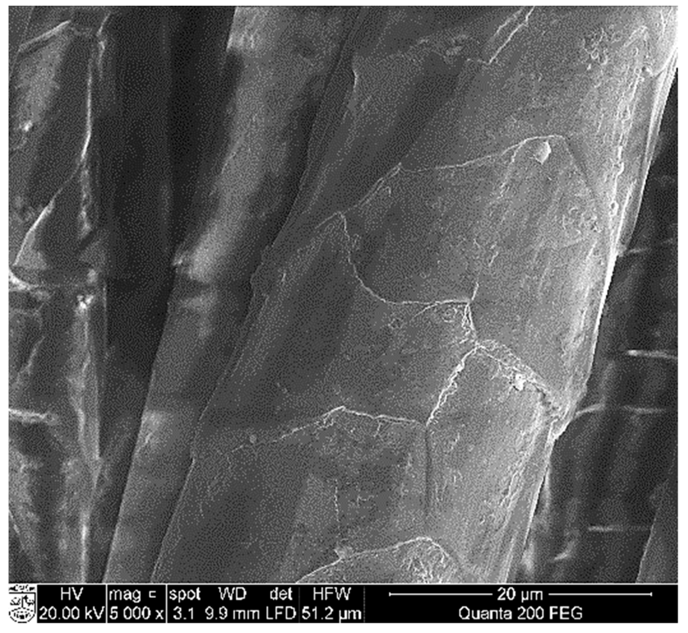 Materials 14 01648 g005 Materials 14 01648 g005