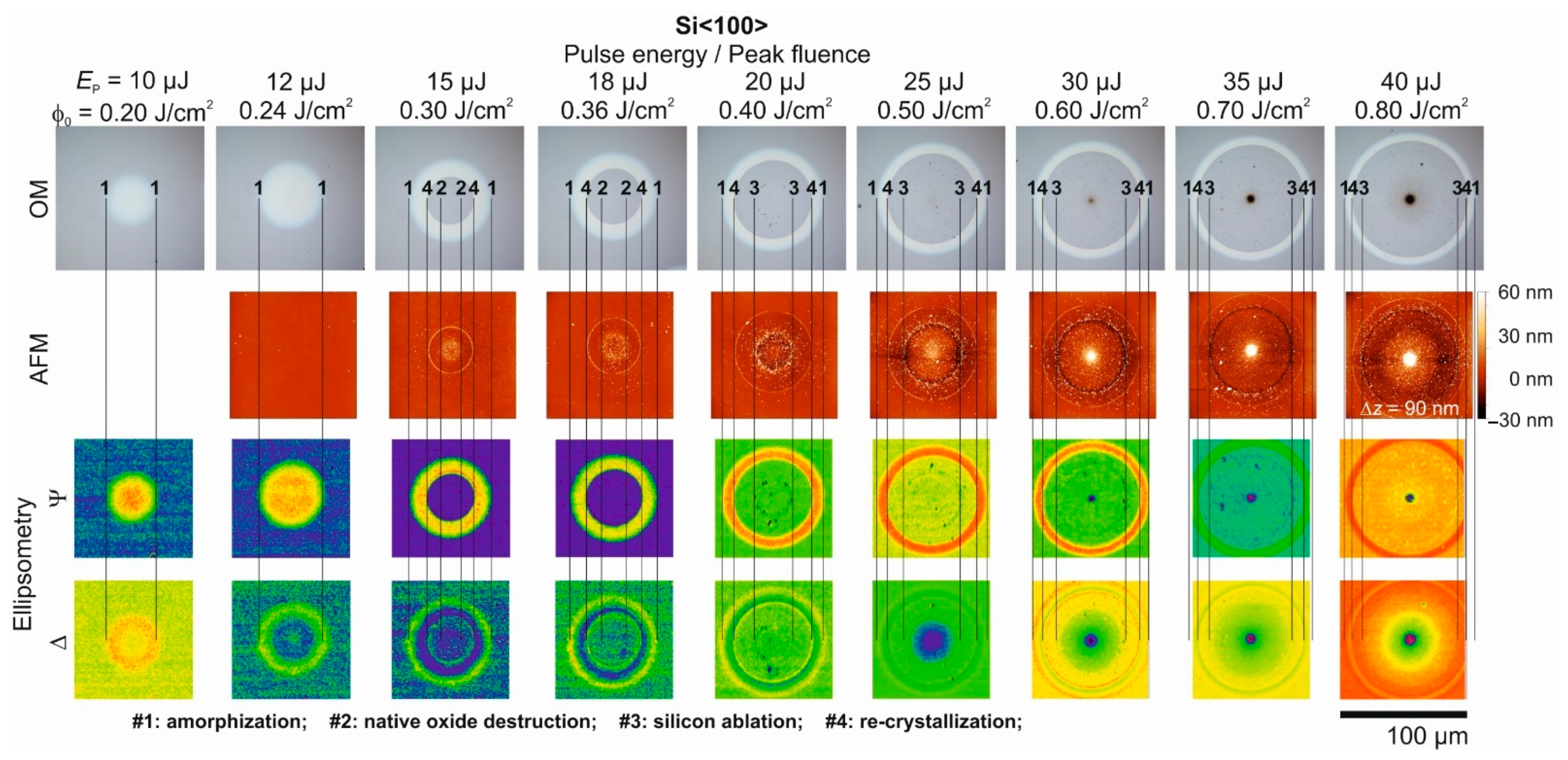 Materials 14 01651 g003